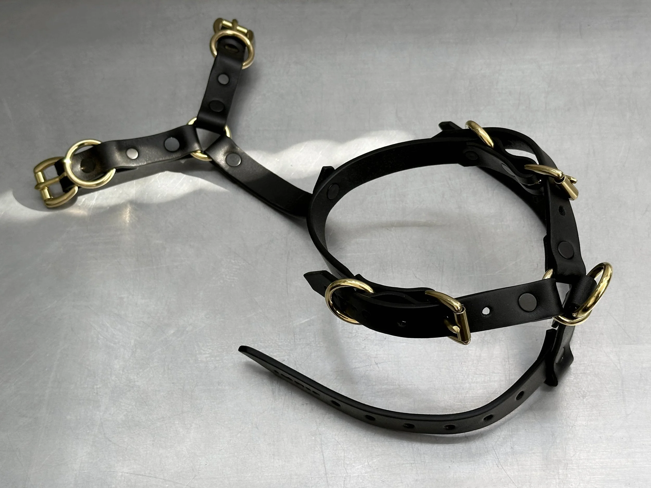 Cassius_Harley harness_black brass_unbuckled.jpg