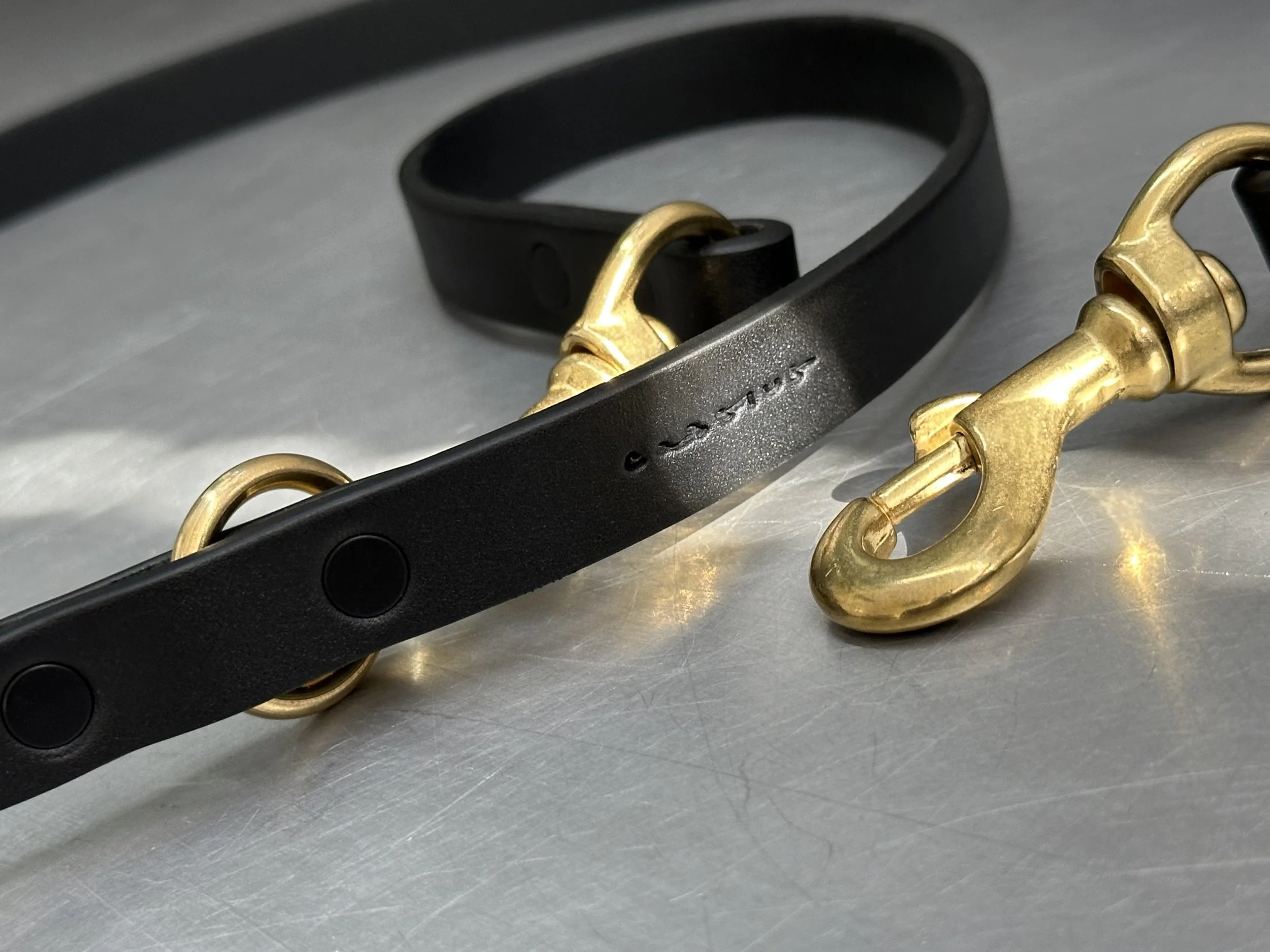 Cassius_Tango leash_black brass_clip detail 2.jpg