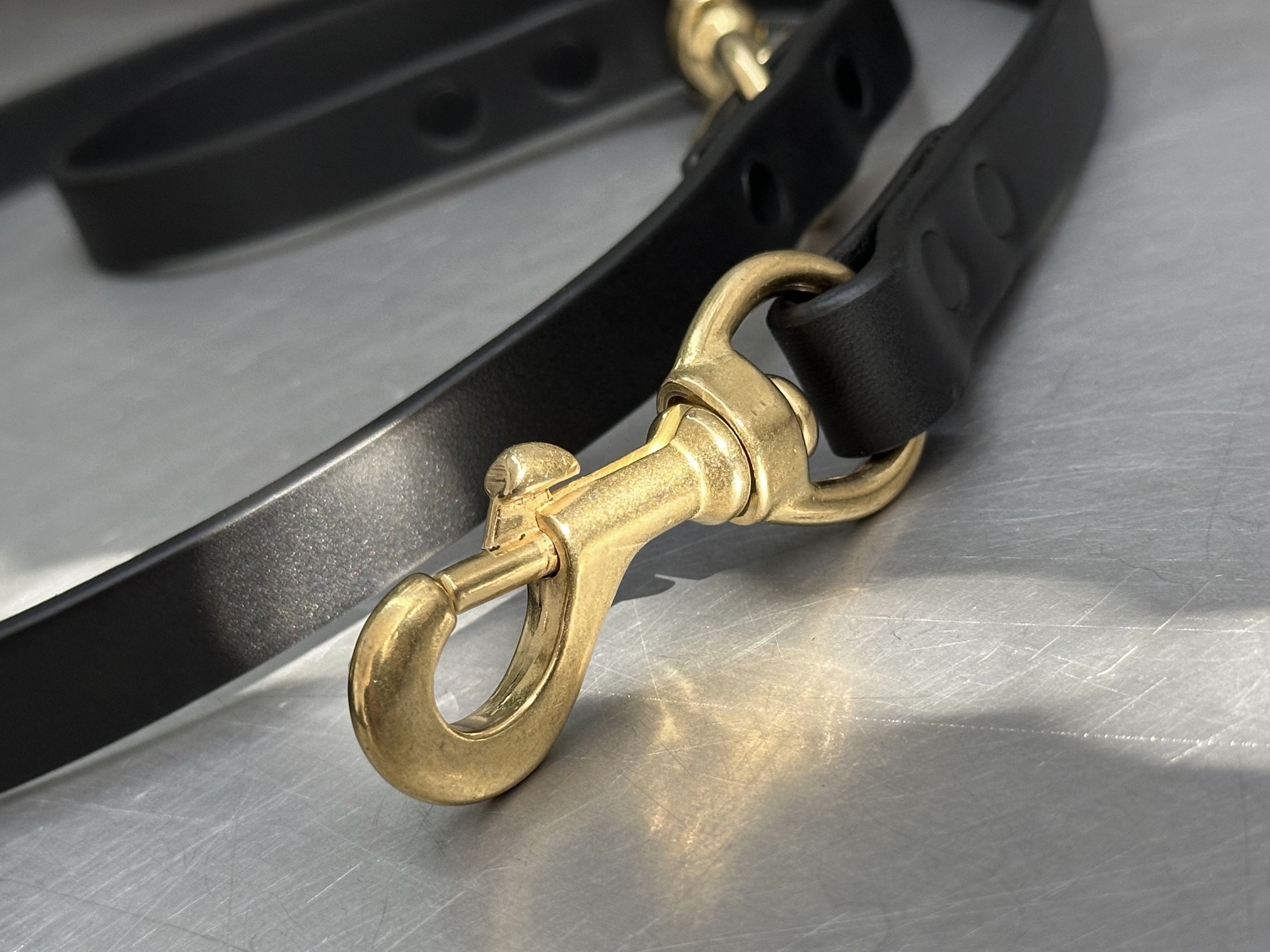 Cassius_Tango leash_black brass_clip.jpg