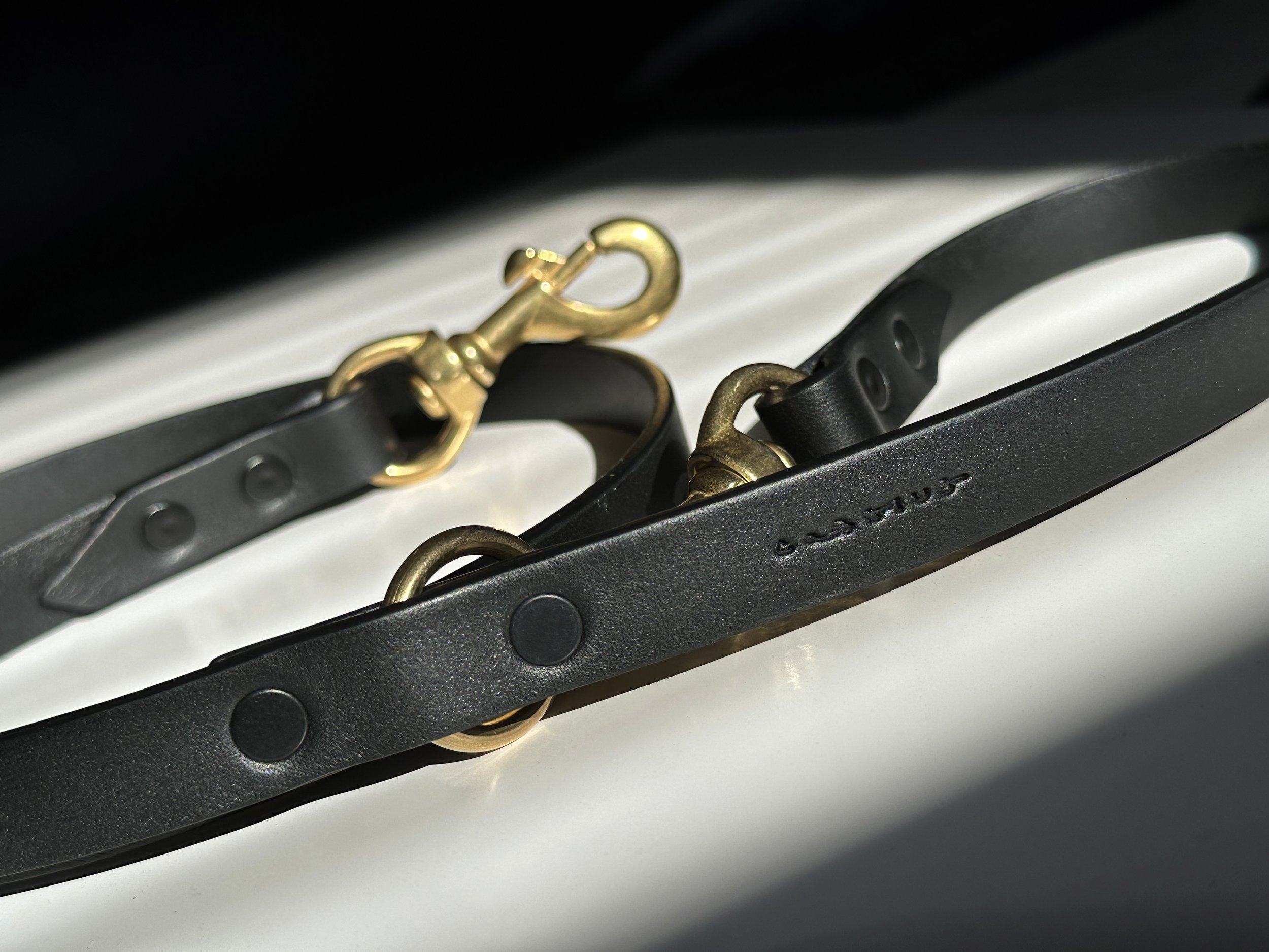 Cassius_Tango leash_black brass_impact shot.jpg