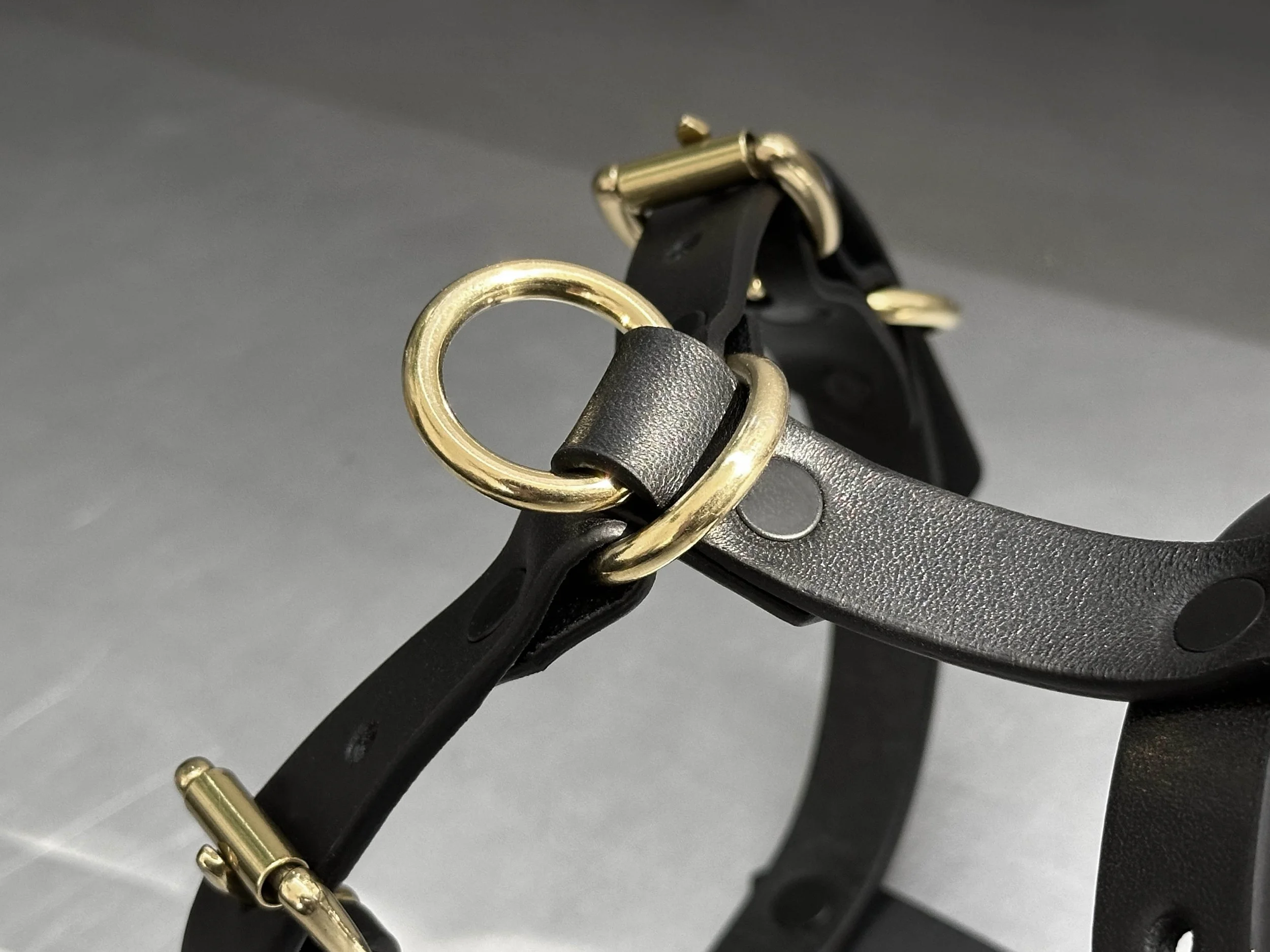 Cassius_Harley harness_black brass_focus 3.jpg