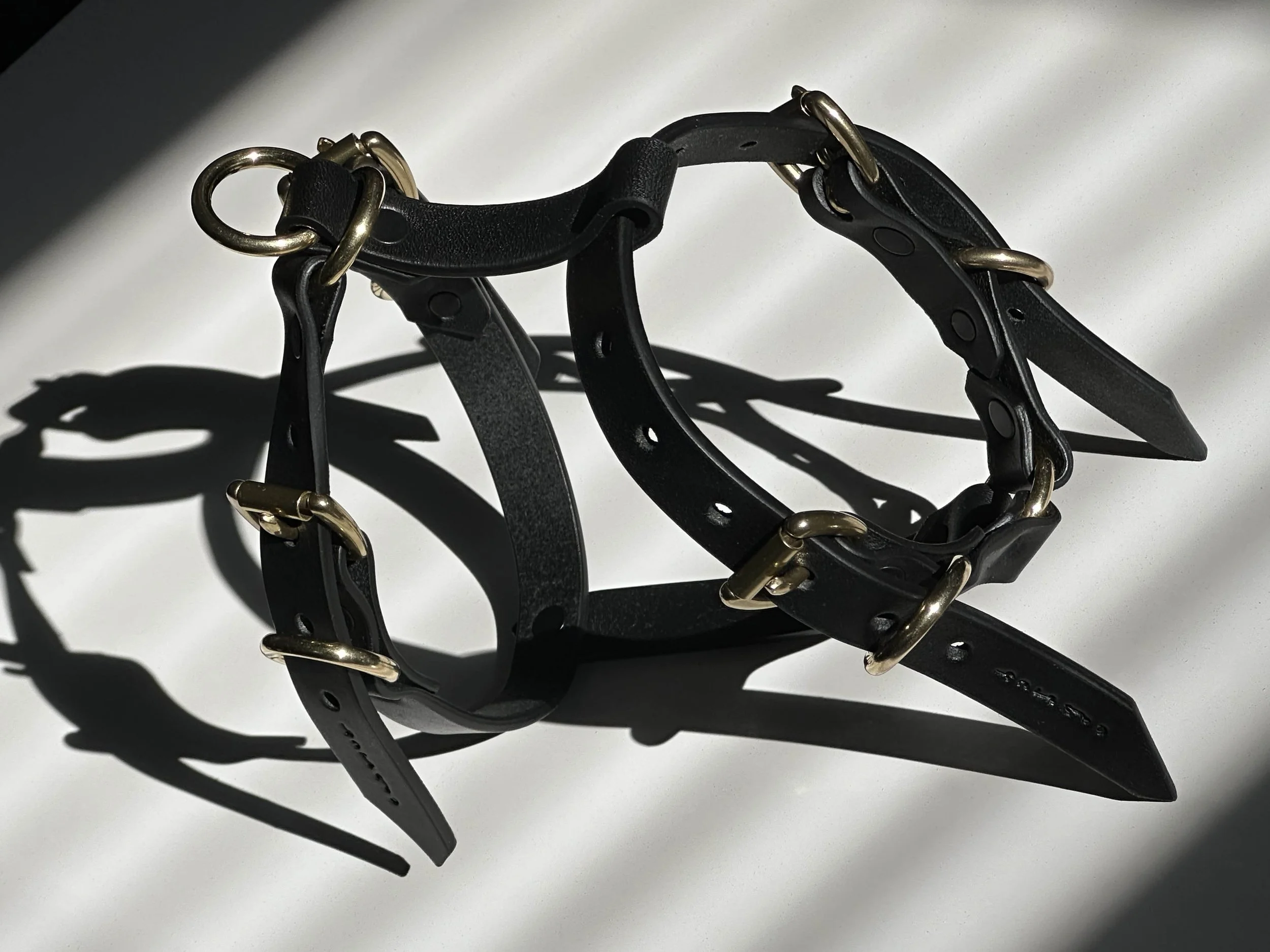 Cassius_Harley harness_black brass_impact shot.jpg
