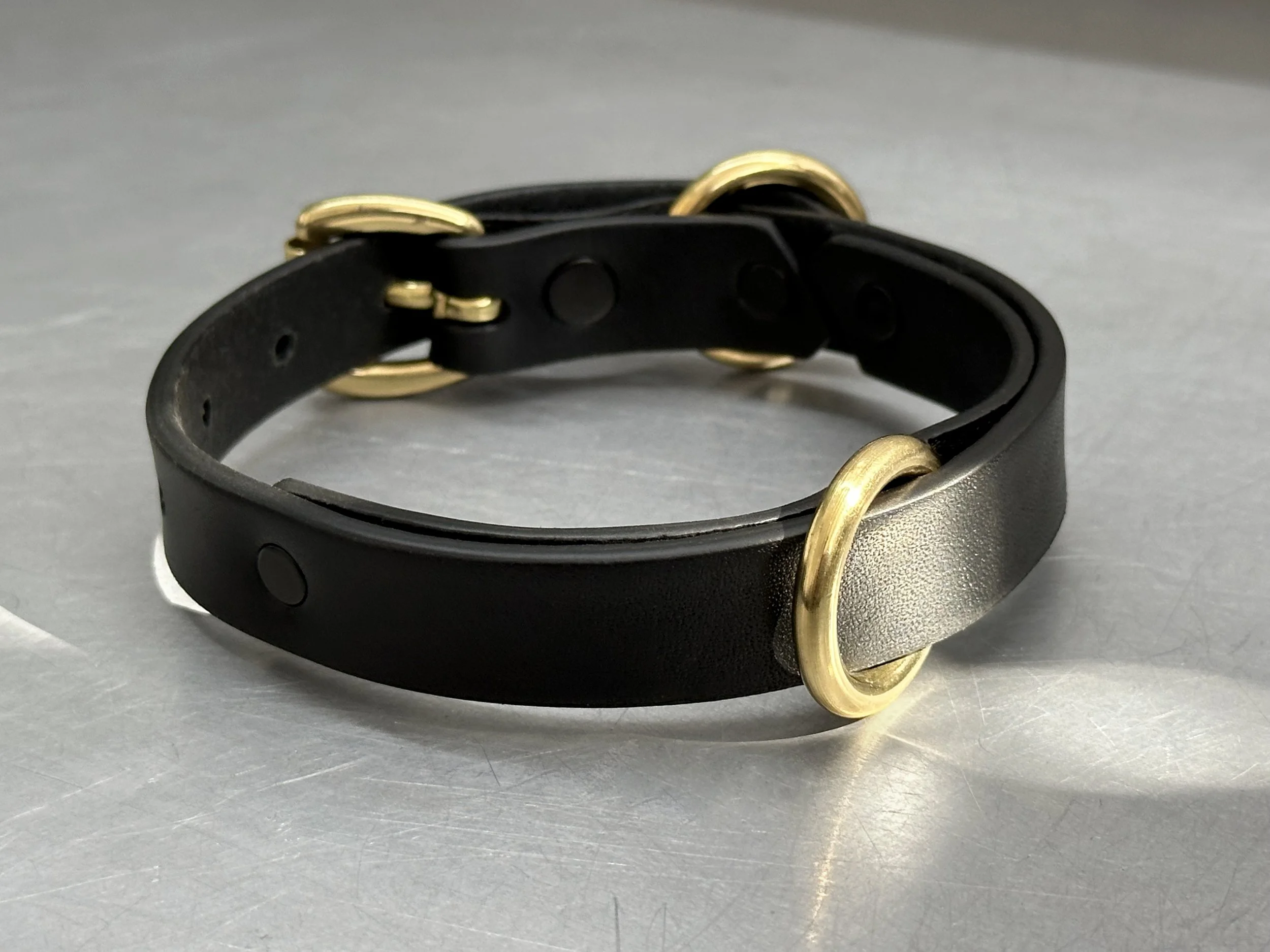 Cassius_Classic ring run collar_black brass_main 4.jpg (Copy)