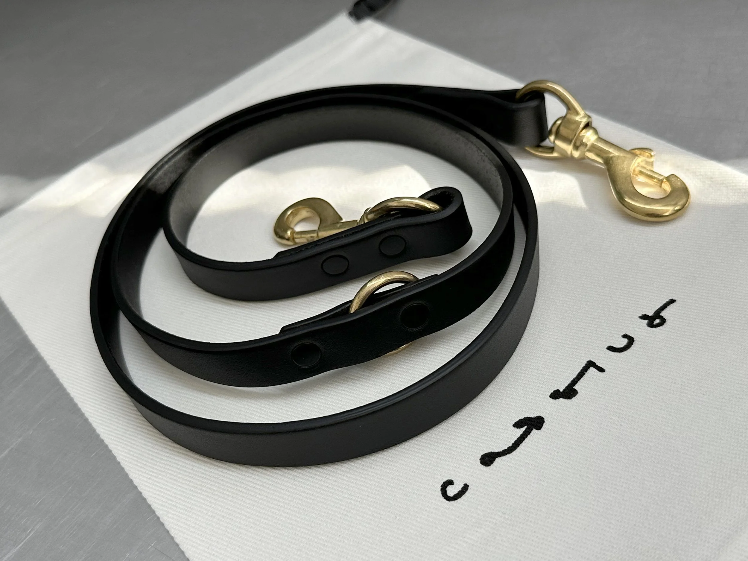 Cassius_Tango leash_black brass_with bag.jpg