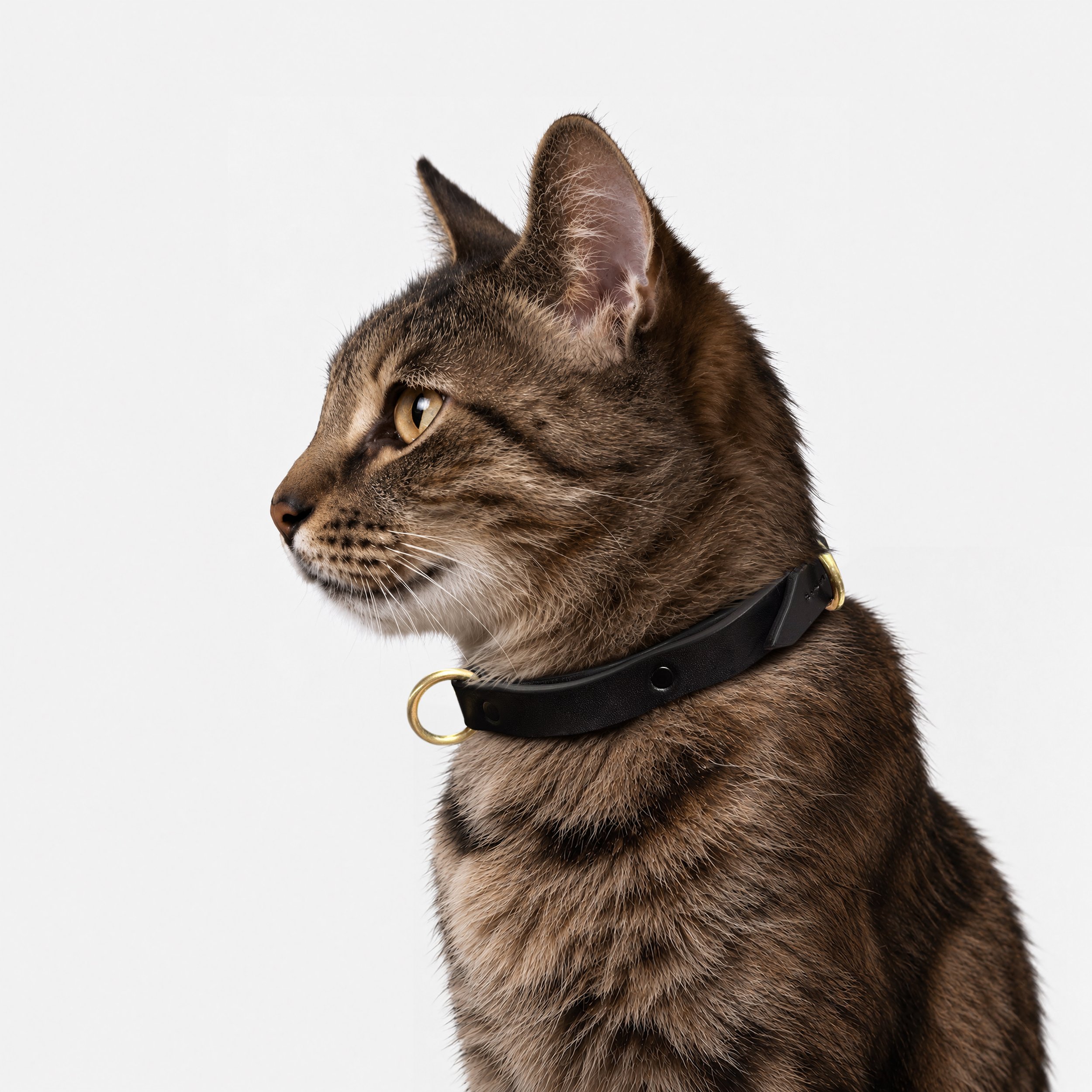 Leto Tension Ripple Collar