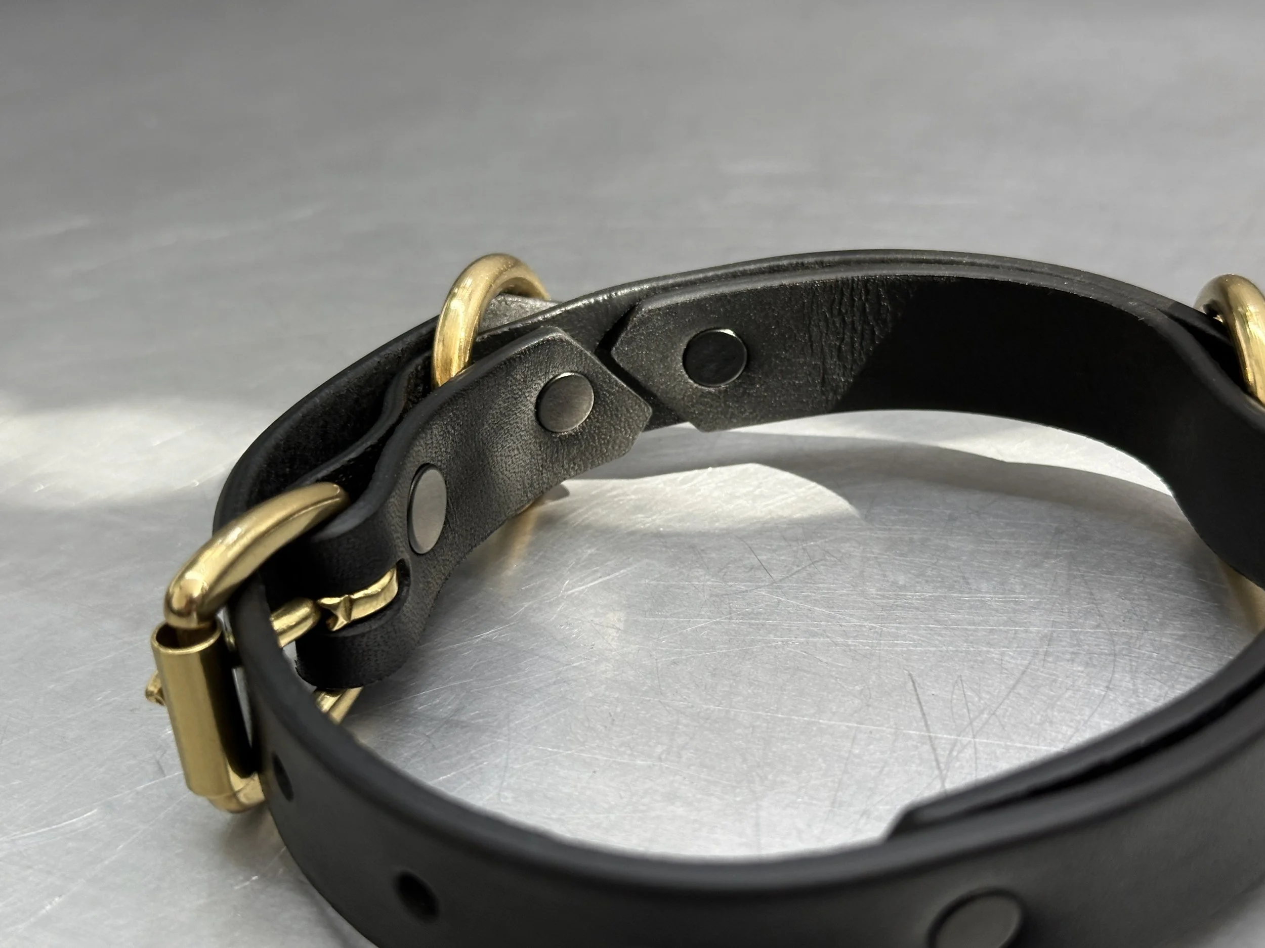 Cassius_Classic ring run collar_black brass_detail.jpg (Copy)