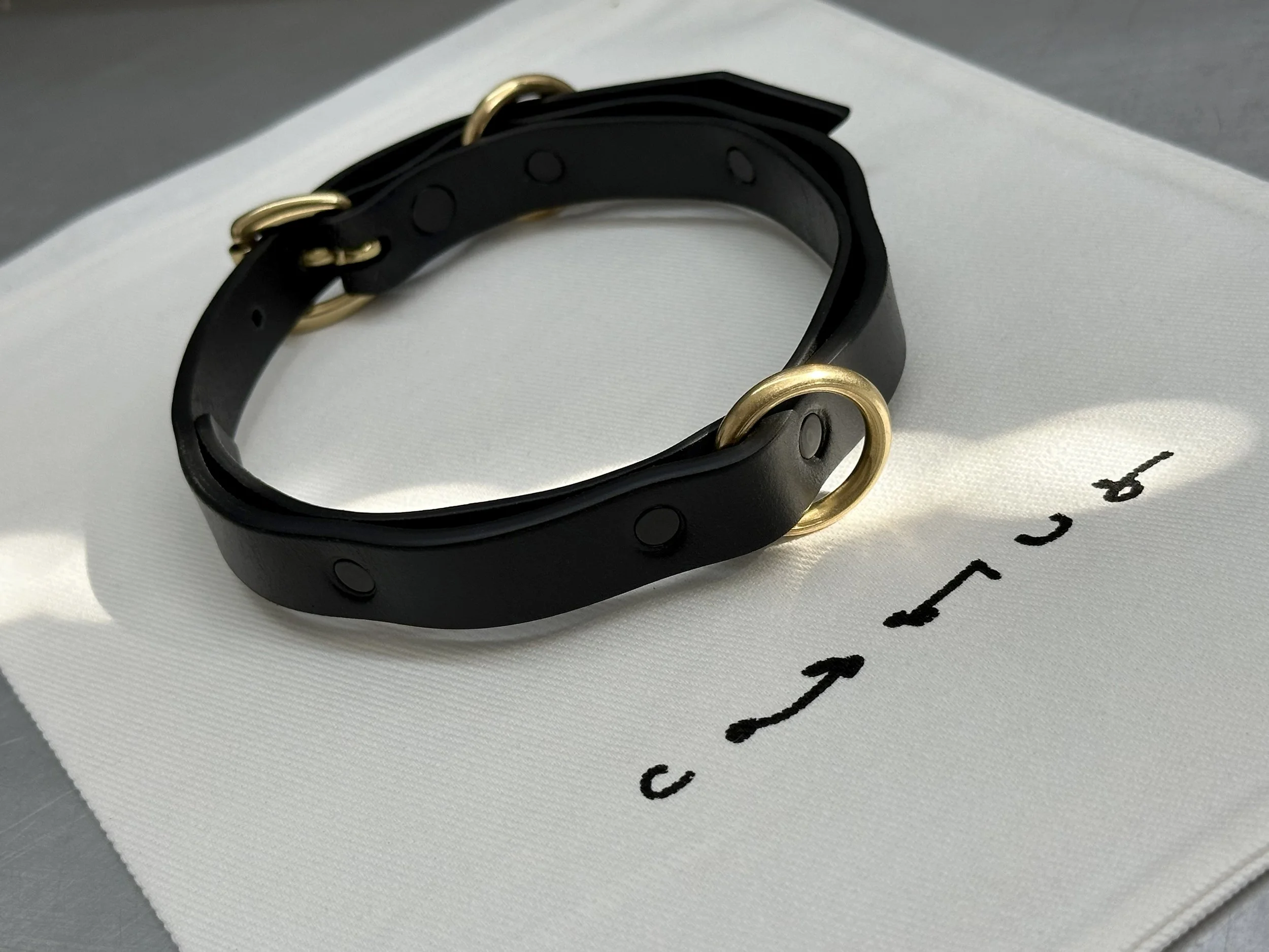Cassius_Double layer ripple collar_black brass_with bag 2.jpg (Copy)