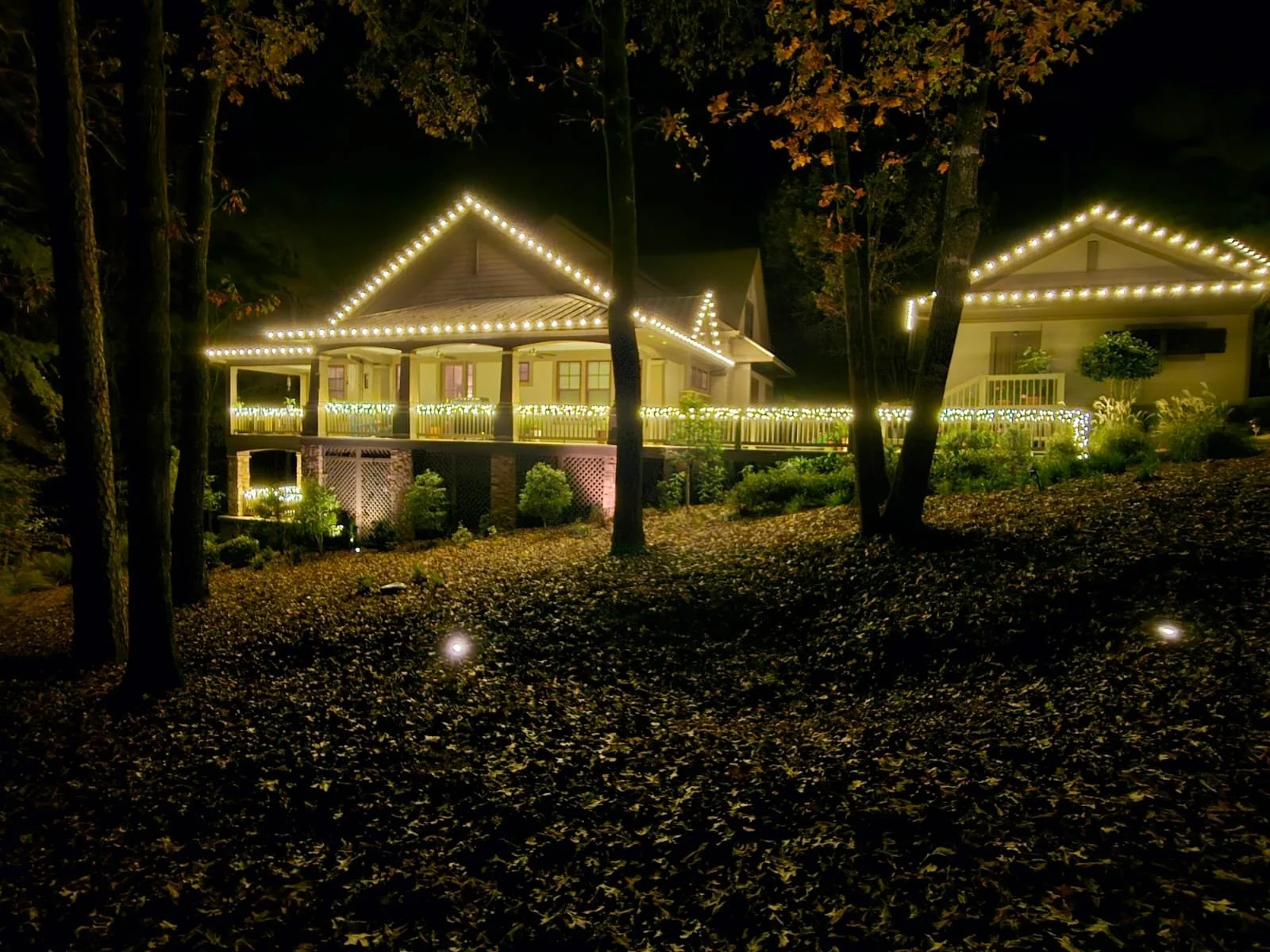 A house decorated with string lights at night, surrounded by trees and falling leaves.