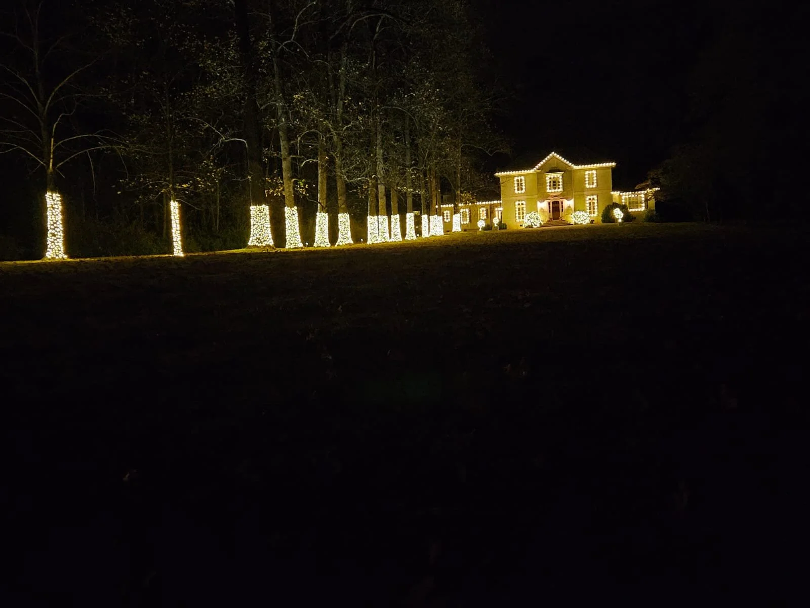 A large house decorated with Christmas lights at night, with trees wrapped in lights along the front yard.
