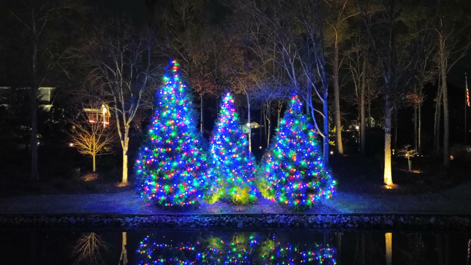 Three Christmas trees decorated with multicolored lights, reflected in a body of water at night, with leafless trees and houses illuminated in the background.