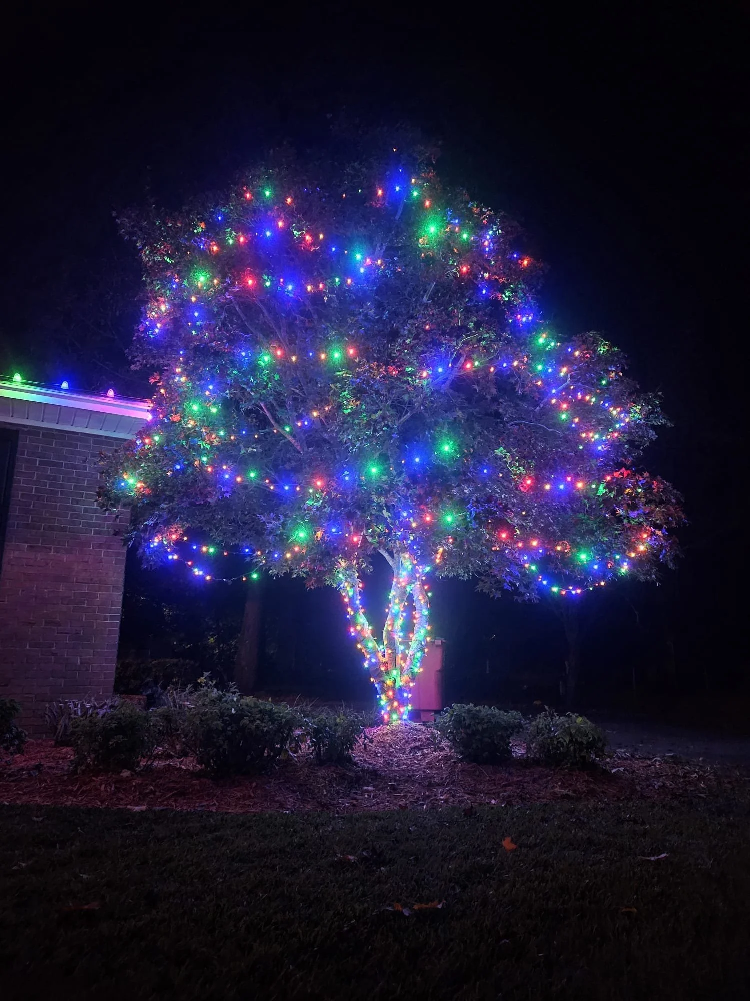 Decorated tree with multicolored Christmas lights outdoors at night, near a house with a brick wall.