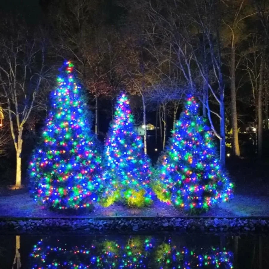 Tree wraps and pathway illumination for a large estate yard on Lake Sinclair.