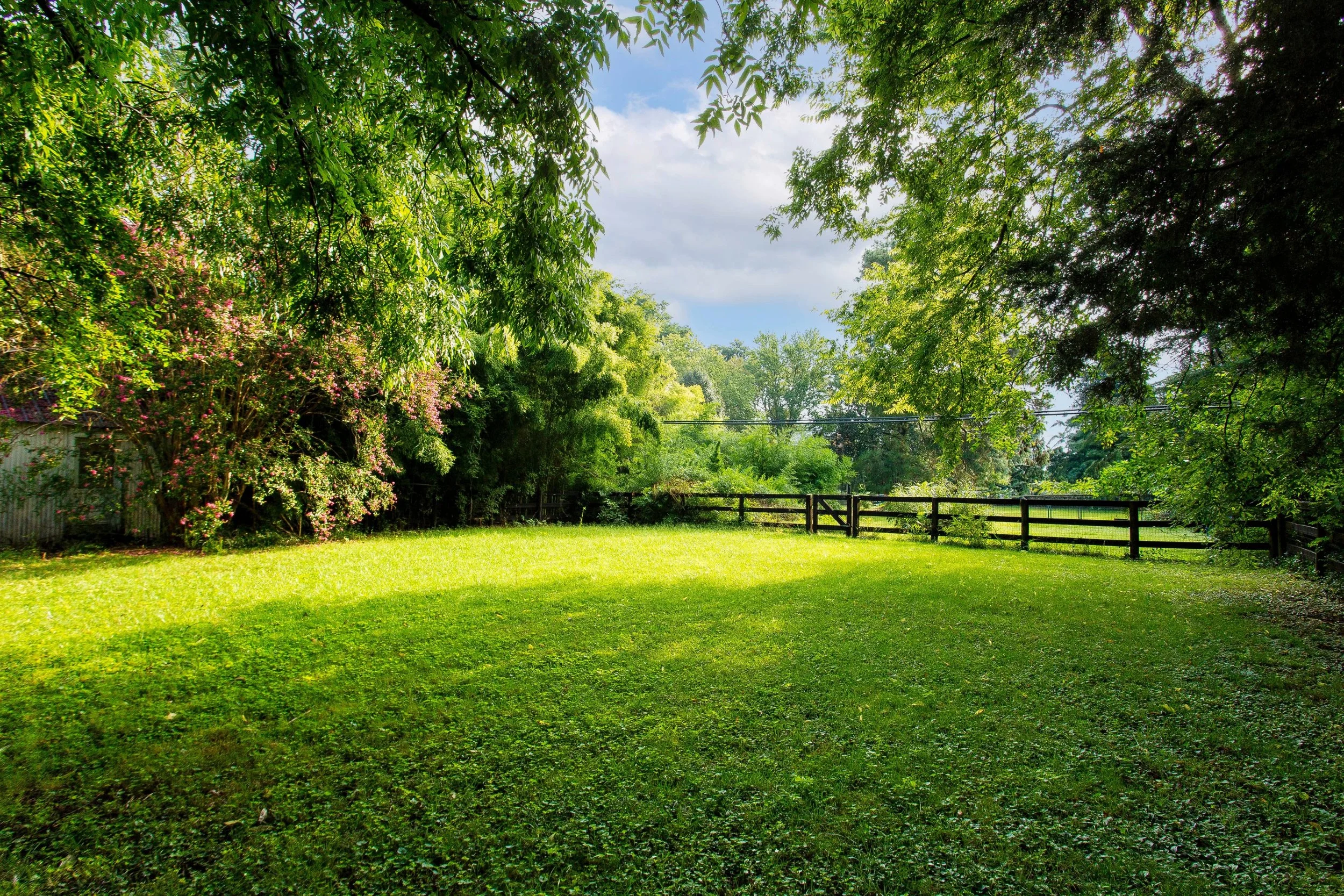 Existing open lawn