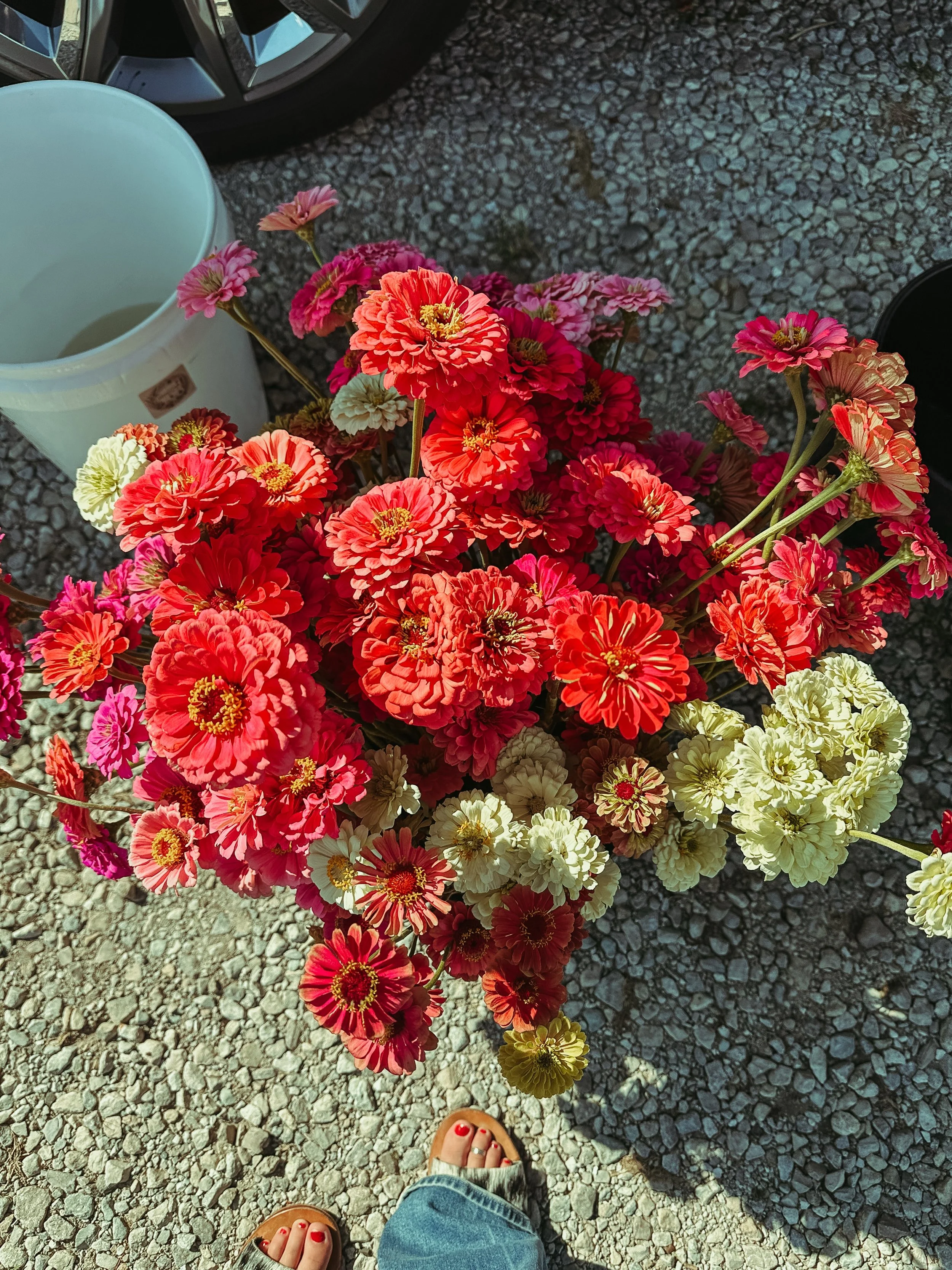 our first bouquet crawl!! @justlagomboutique &amp; @heycamino.andco, y&rsquo;all are the best to ever do it!