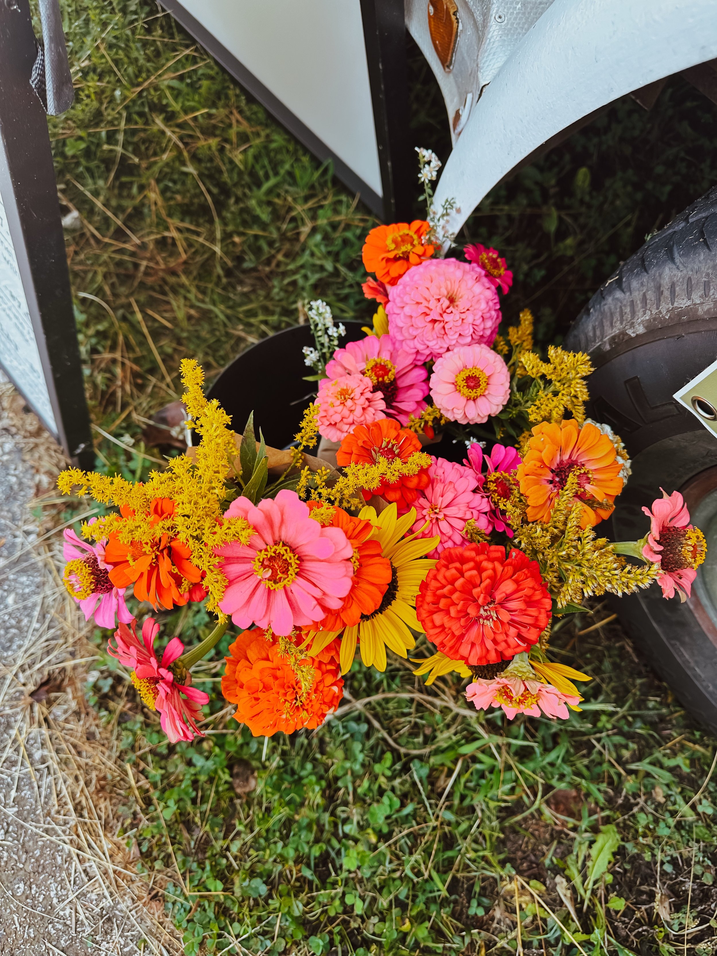 weekend views with flowers from our garden 🥹🫶🏼