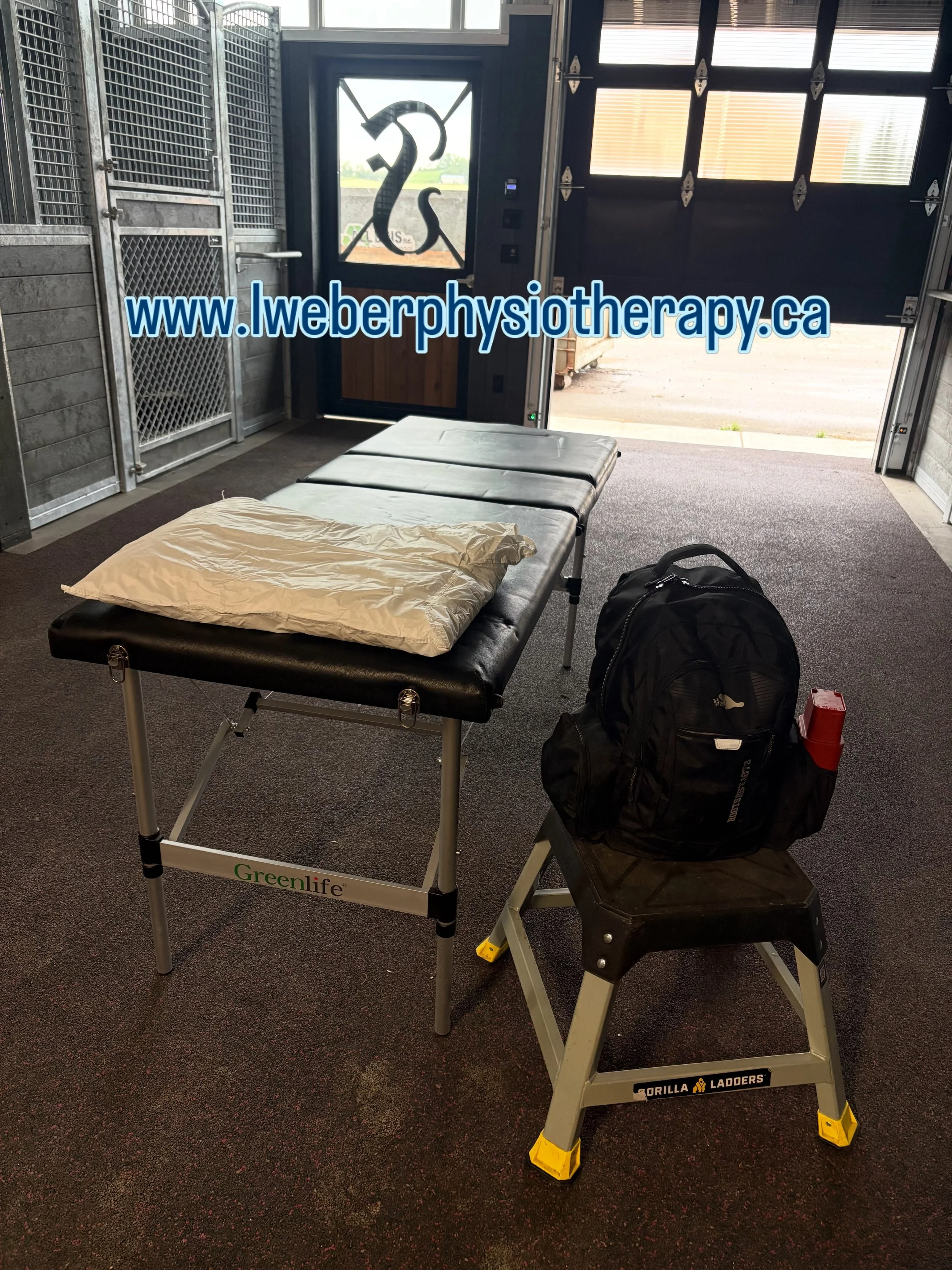 Need physiotherapy but have a hard time finding time in your busy riding and work schedule? I can bring personalized treatment to you at your barn! Contact me to book your appointment! www.lweberphysiotherapy.ca #equestrianphysiotherapy #equestrianph