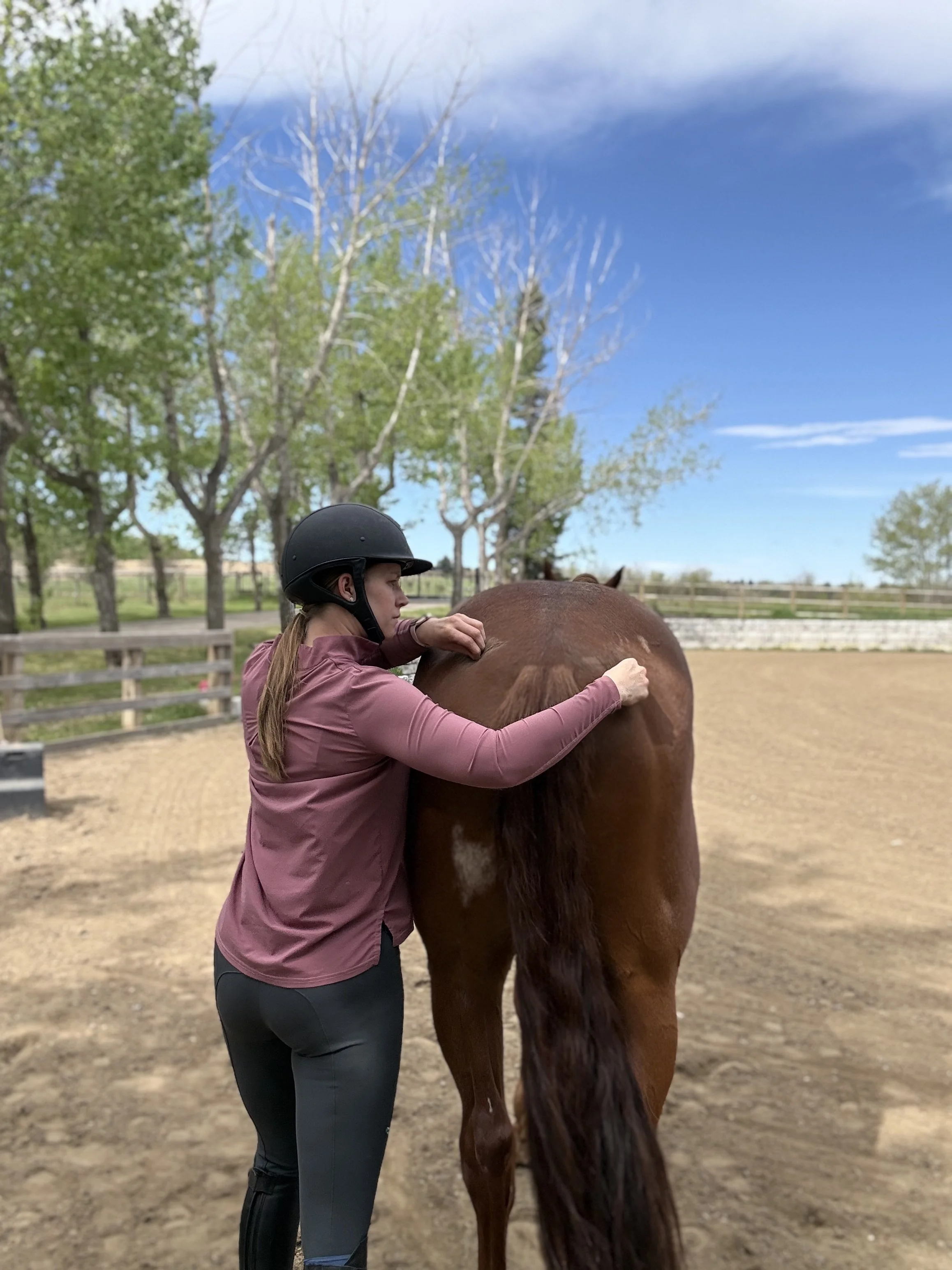 A woman wearing a helmet and riding attire is adjusting the saddle of a brown horse in an outdoor riding arena, with trees and a blue sky in the background.