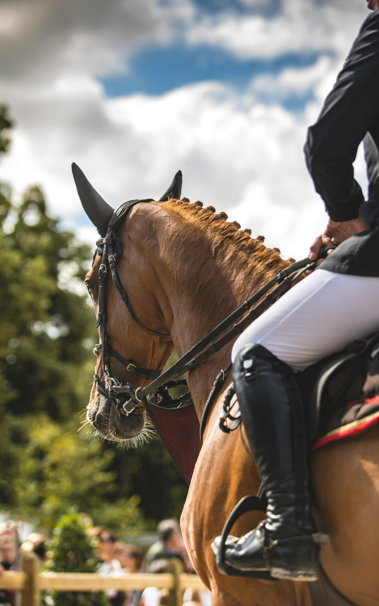 A rider on a brown horse, wearing riding gear, with a crowd of people and trees in the background on a partly cloudy day.