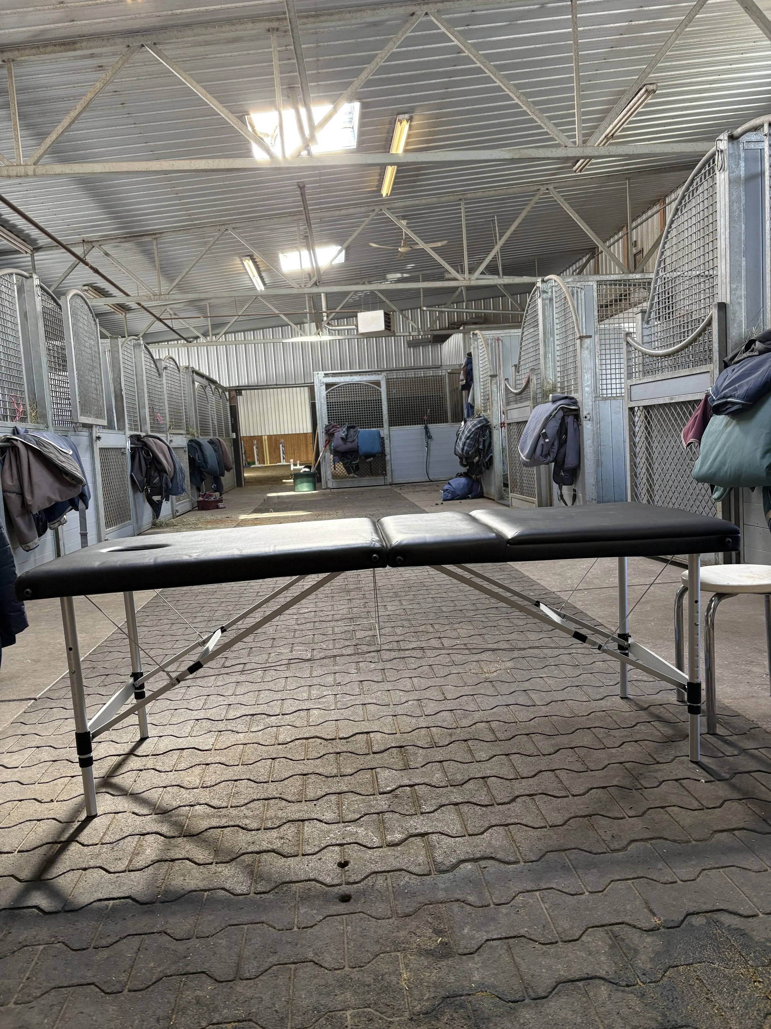 Empty horse grooming or wash stall in a barn or stable with a padded table and horse supplies hanging on the stall walls.