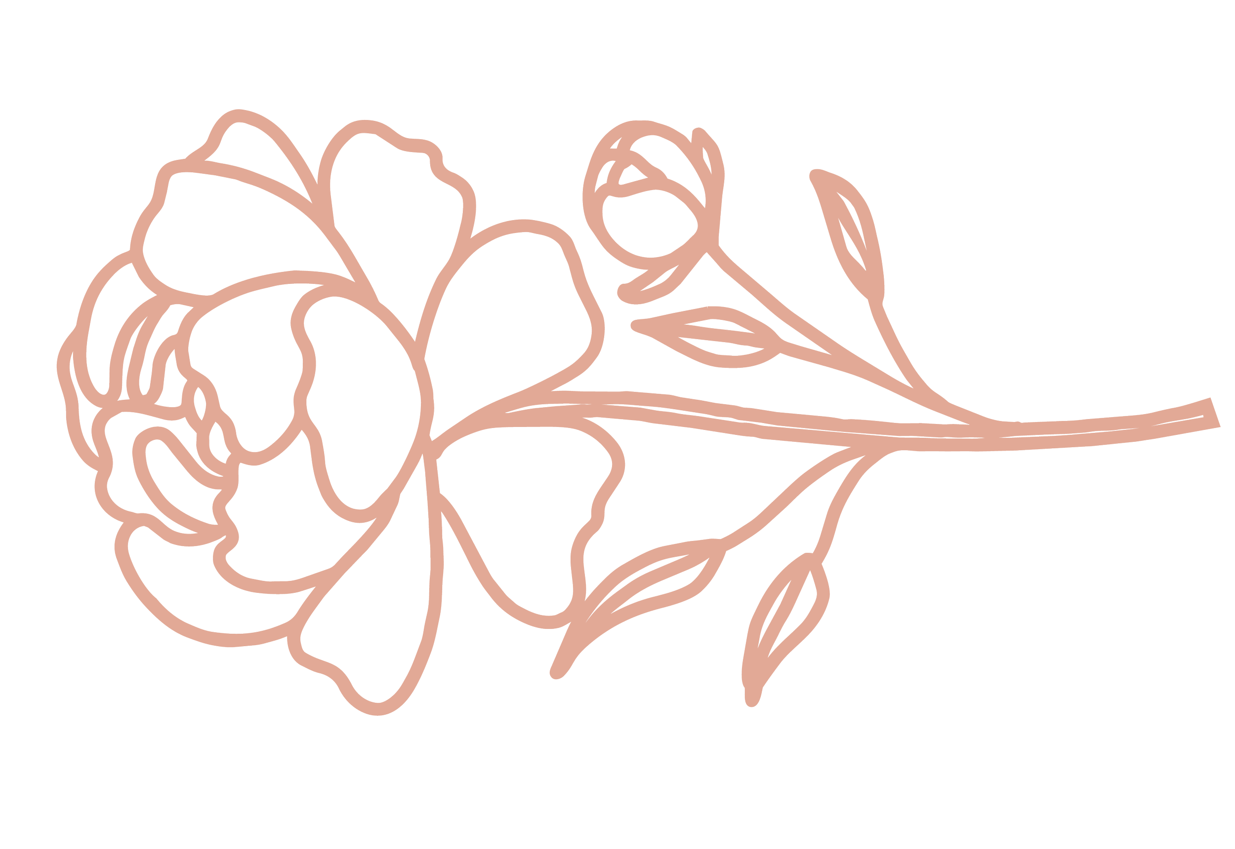 A line drawing of a stylized flower with large petals and leaves in a soft pink color.