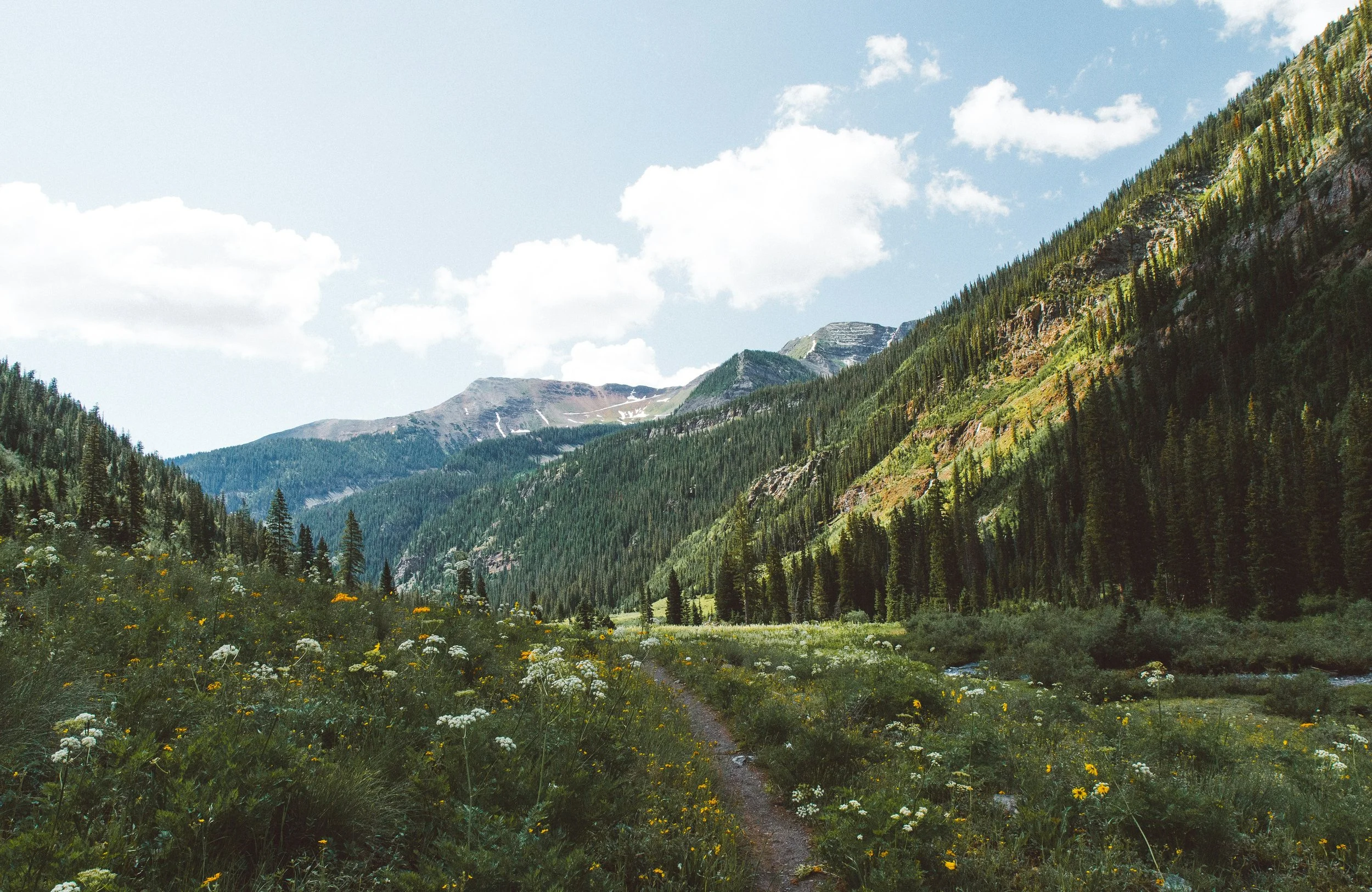 A scenic mountain landscape with lush green forest, colorful wildflowers, a small stream, and mountain peaks under a partly cloudy sky.