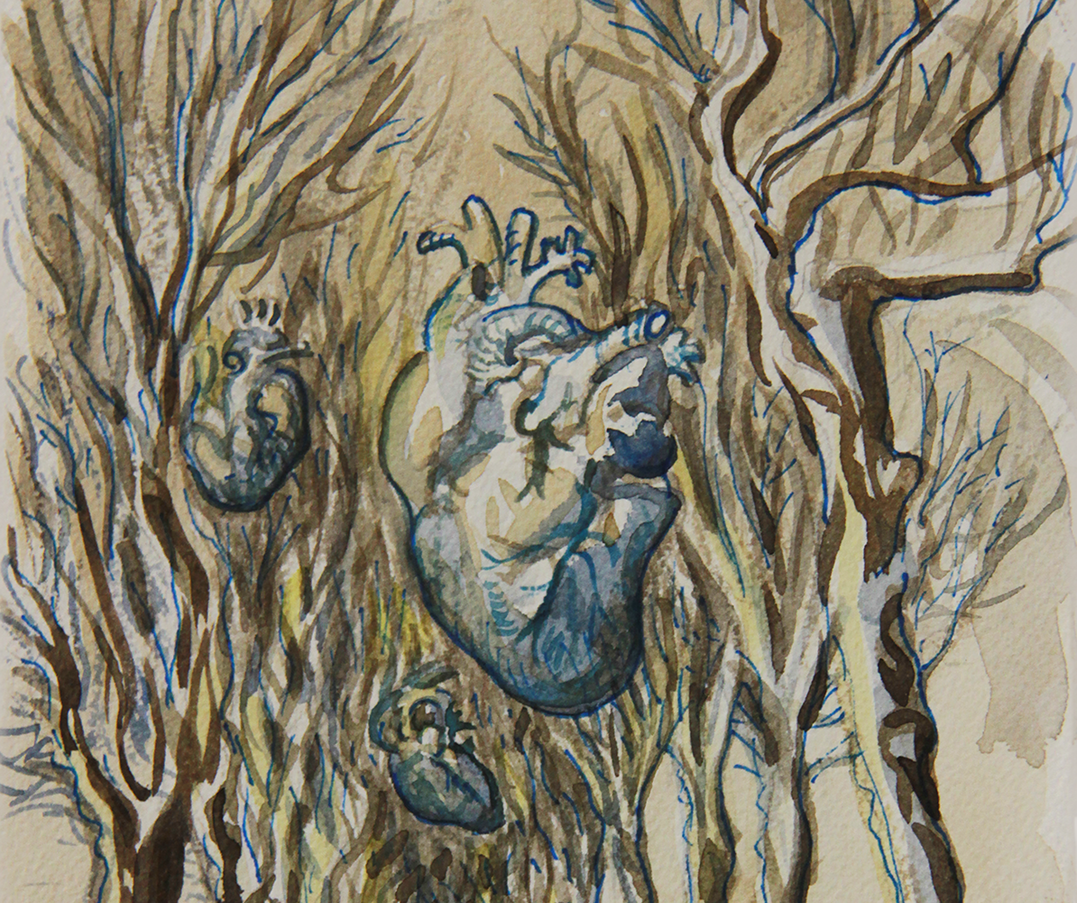 HeartPath-Detail1.png