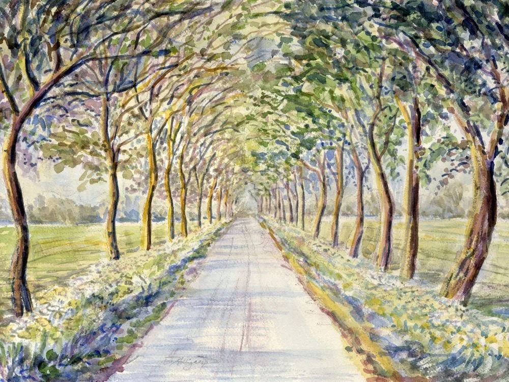 Tunnel Path.jpg
