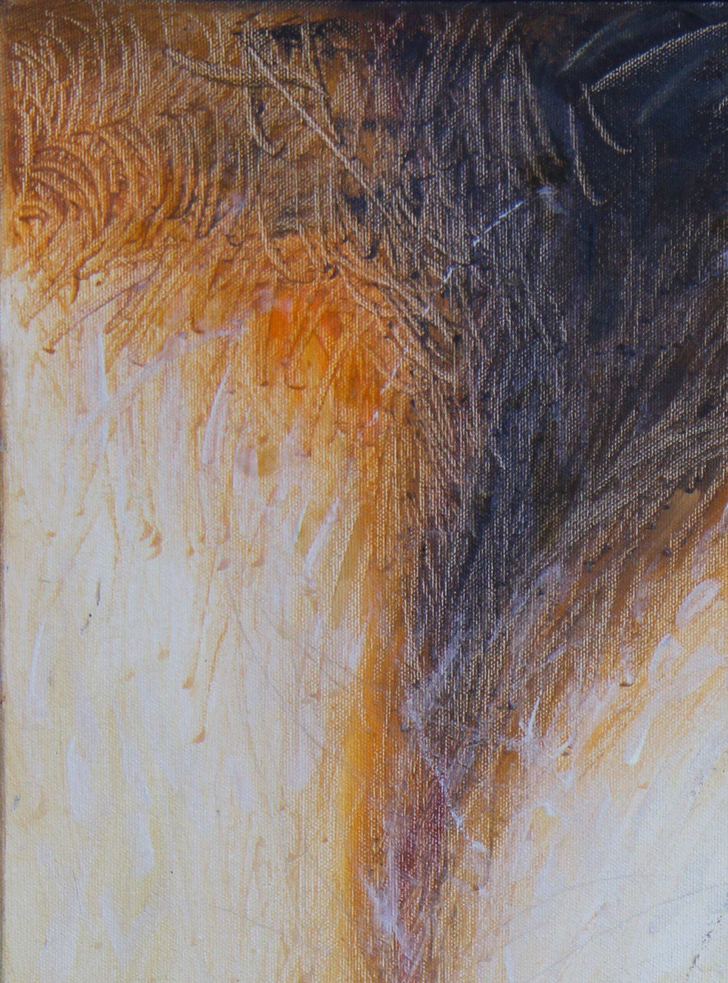 Tornado-Orange-Detail1.png