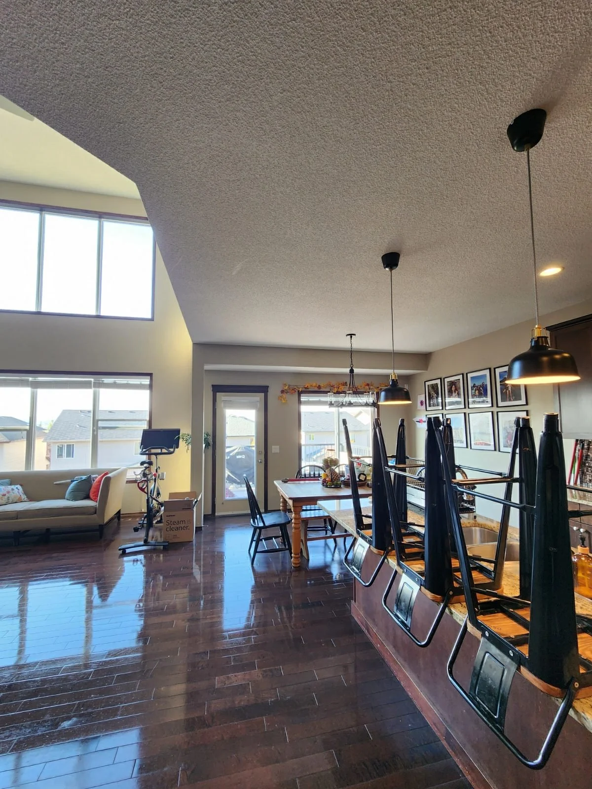 Basic Living room cleaning