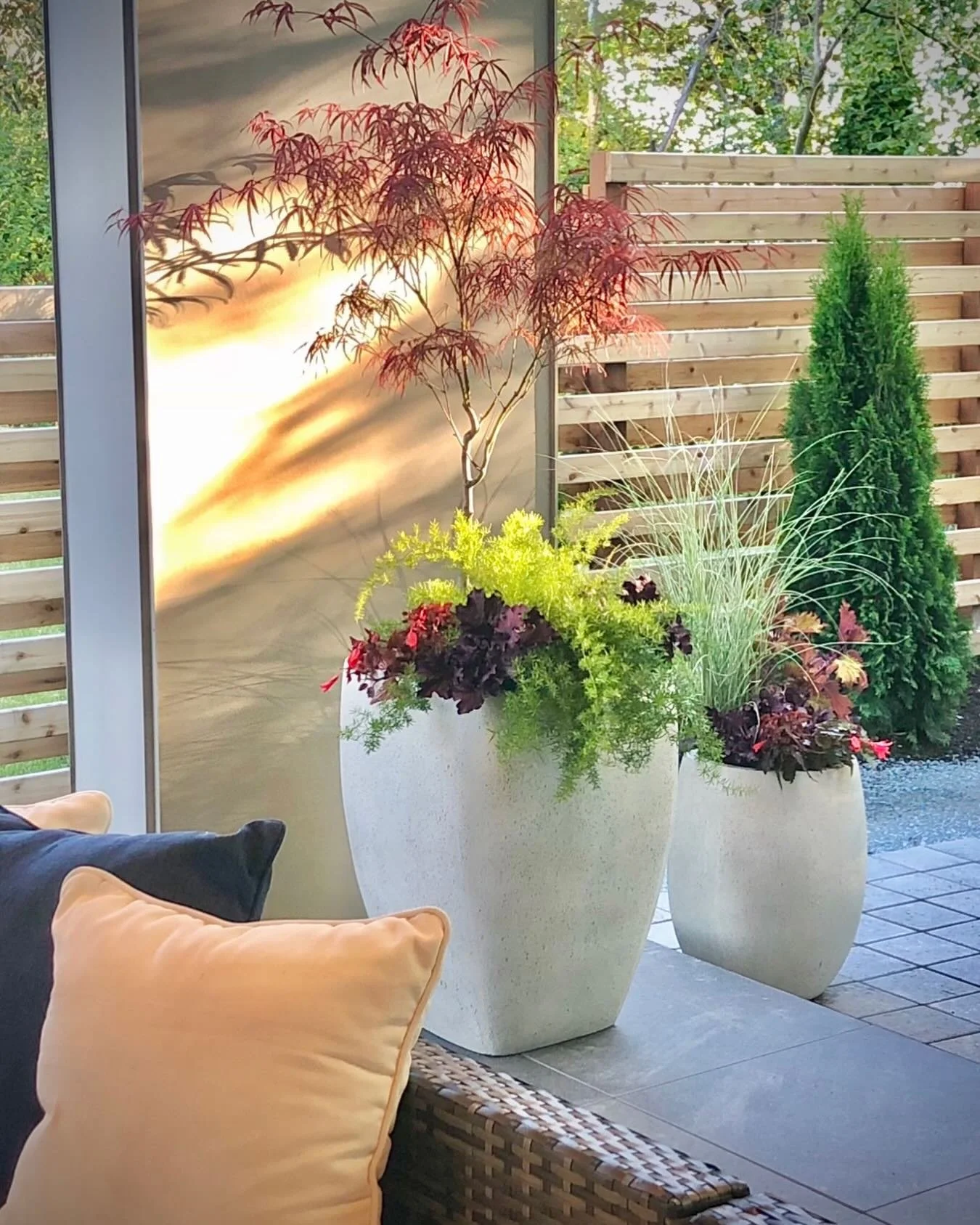 This is your permission slip to stop apologizing for taking up space. That Japanese maple didn&rsquo;t ask for approval to be dramatic, it just leaned into the light and let its color do the talking. Your patio deserves the same energy. Go bold or go