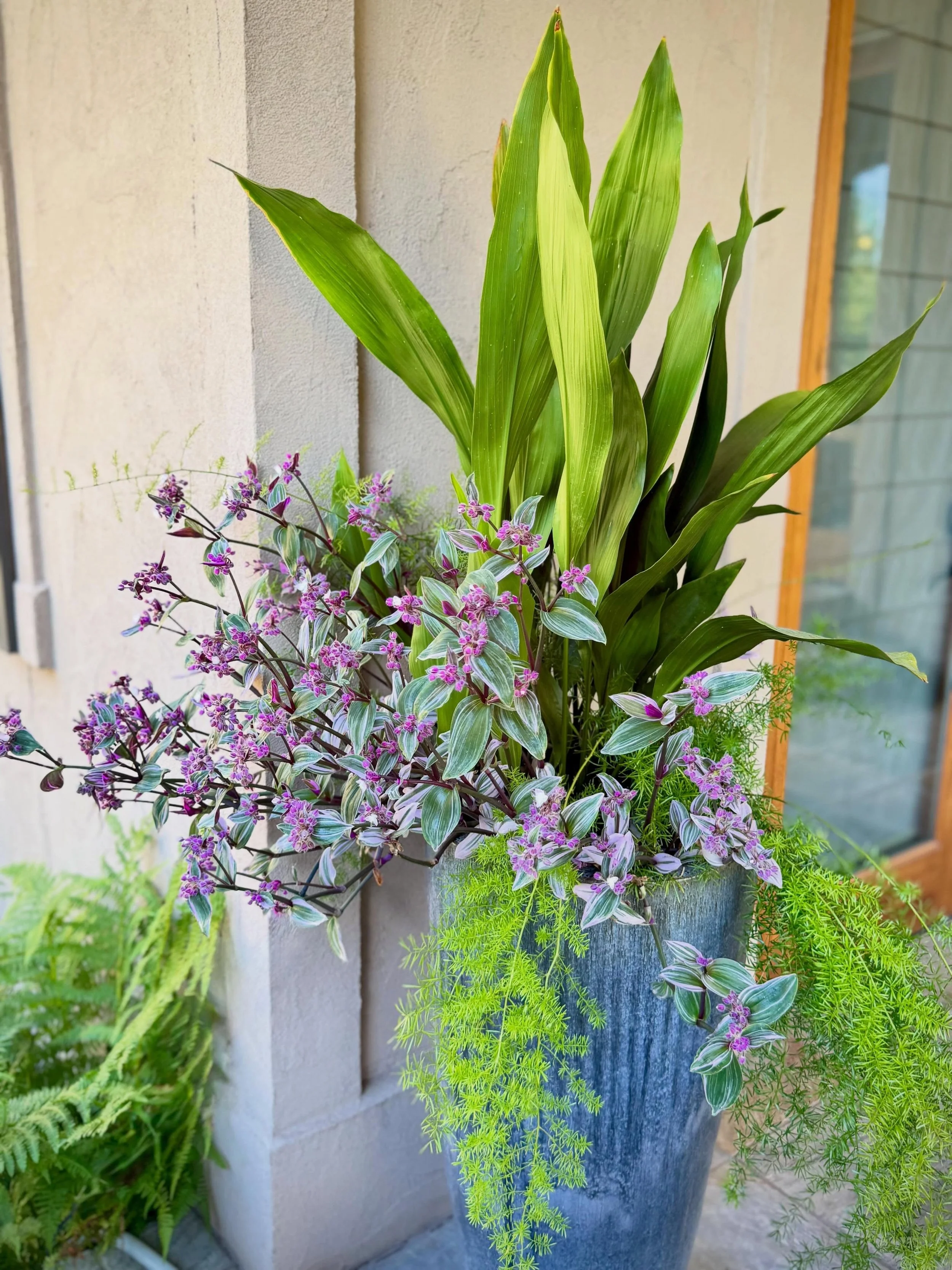 A &ldquo;sustainable&rdquo; planter with an attitude says &ldquo;We don&rsquo;t need no stinking designer! Back off lady, we&rsquo;re bloomin, we&rsquo;re leafin and we&rsquo;re chillin in the shade since 2025!&rdquo; GOT IT, imma backin off! 😂😂😂 