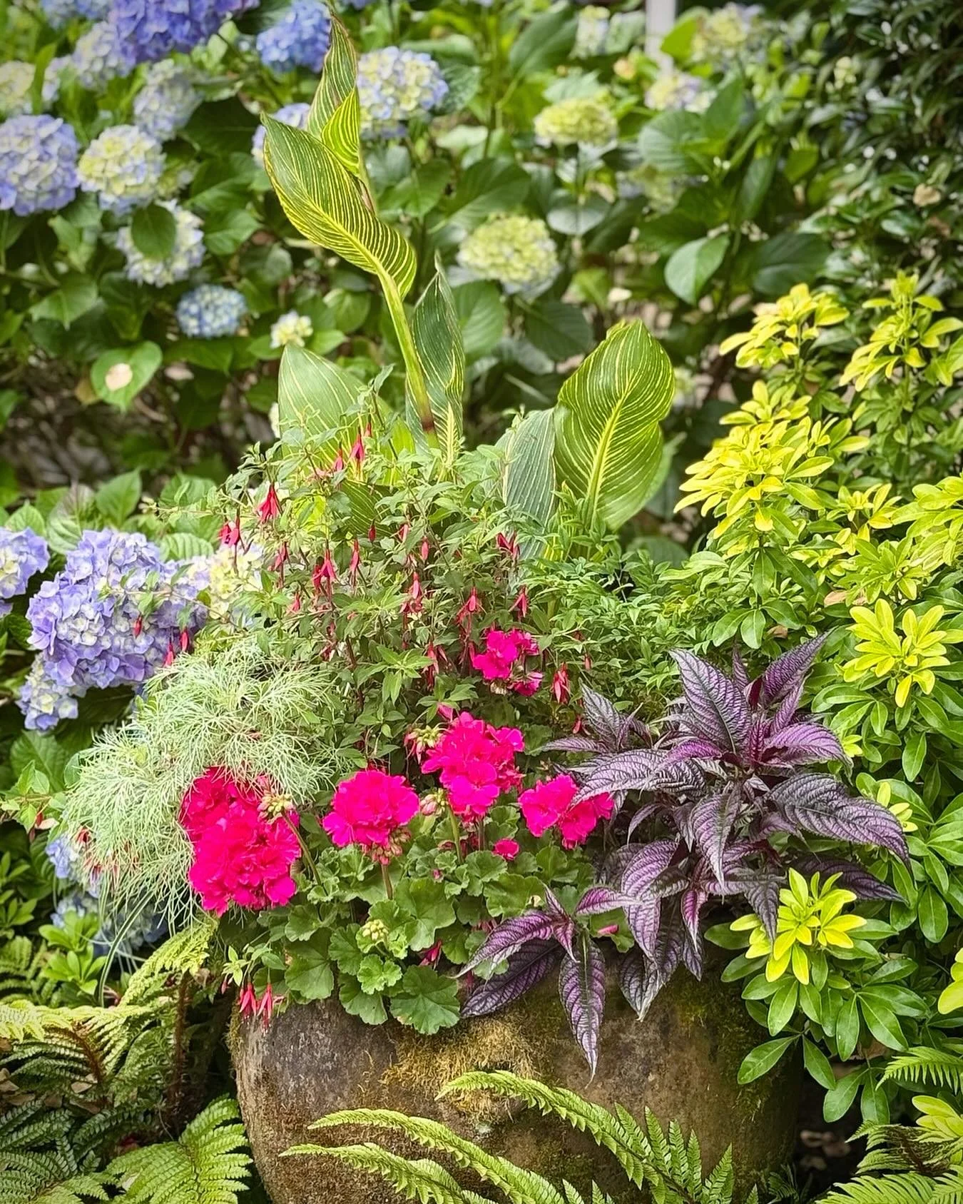 Container gardening advice I wish I could give my past self:
Learn the language of design before you memorize plant names. Because once you understand balance, rhythm, repetition, contrast, scale, and focal points, you can walk into almost any nurser
