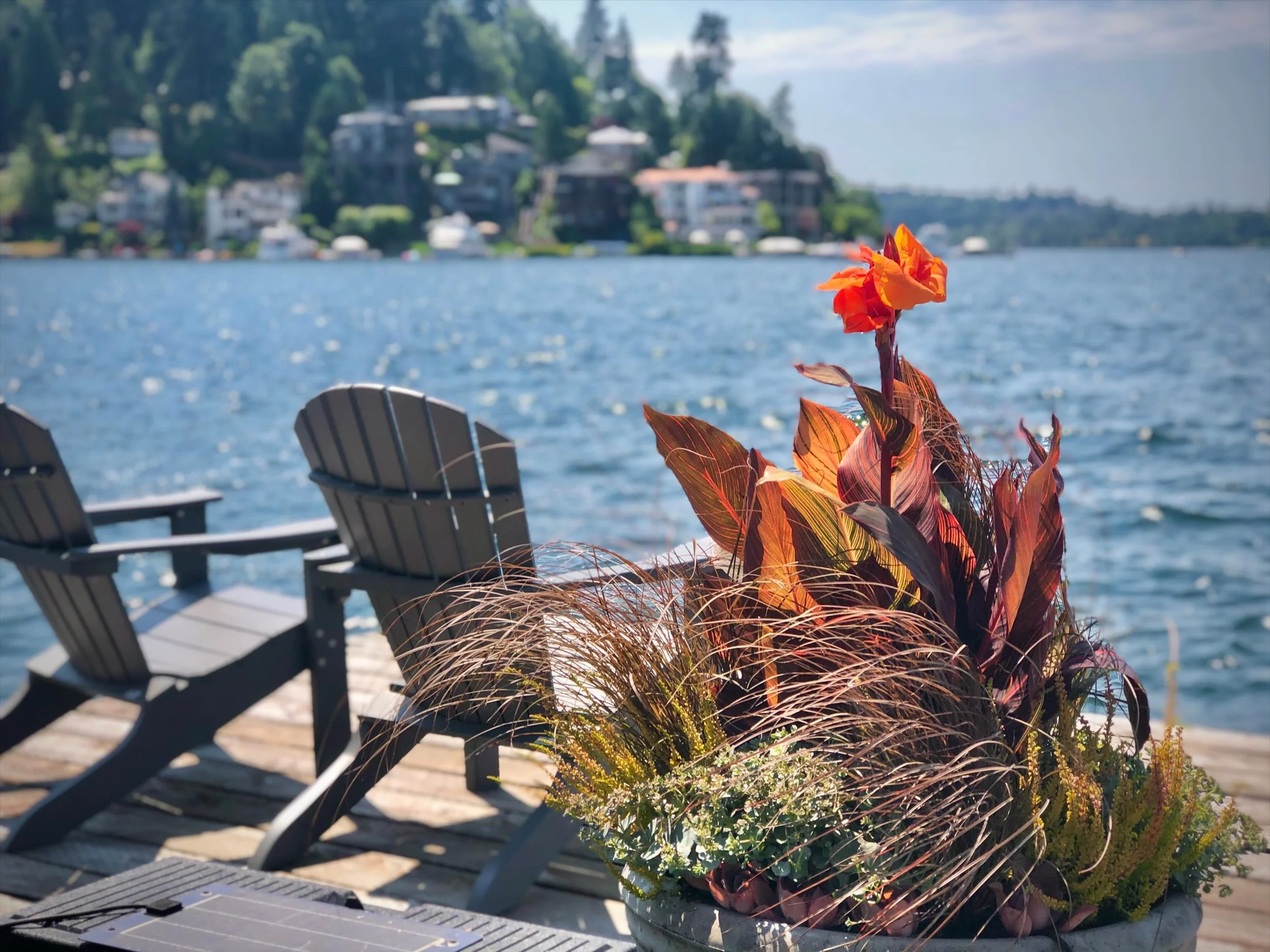 Every garden has a soundtrack. Today&hellip;it&rsquo;s the whisper of grasses, the sparkle of the lake, and one determined canna refusing to bow to the breeze. Some designs don&rsquo;t just catch your eye&hellip;they catch the wind. 
#potsofbold #Con