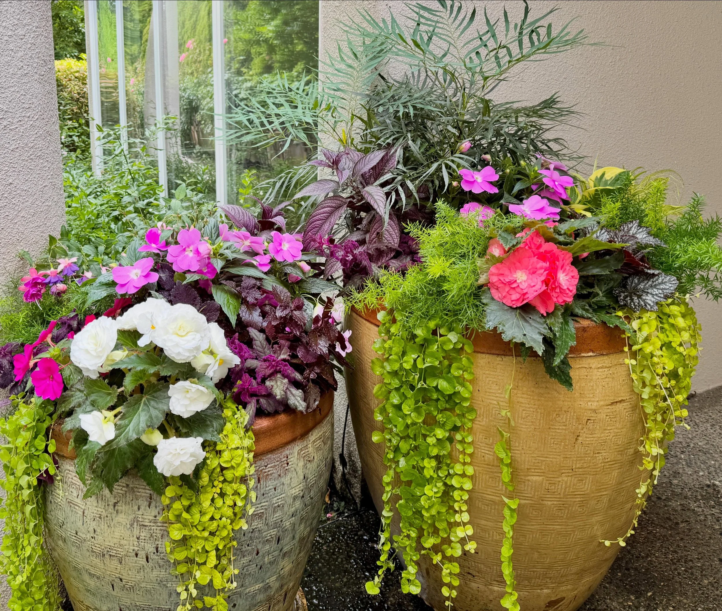 One of the biggest garden myths? That if you didn&rsquo;t plant containers in May, you&rsquo;ve missed your chance.
Not even close. These shade containers are being planted in late July, just in time to steal the show for Seafair gatherings and carry