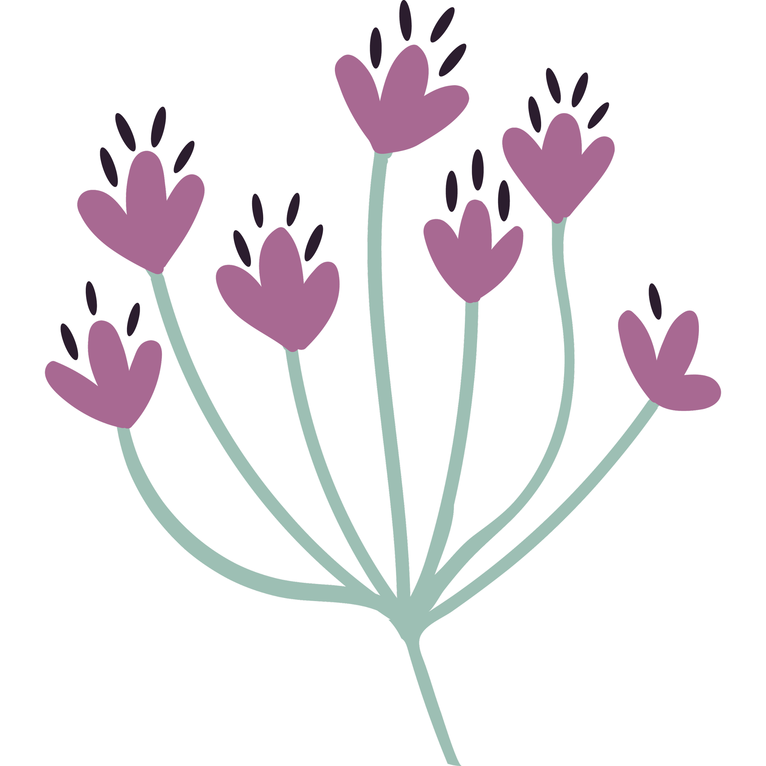 Illustration of purple heart-shaped flowers with light green stems on a black background.