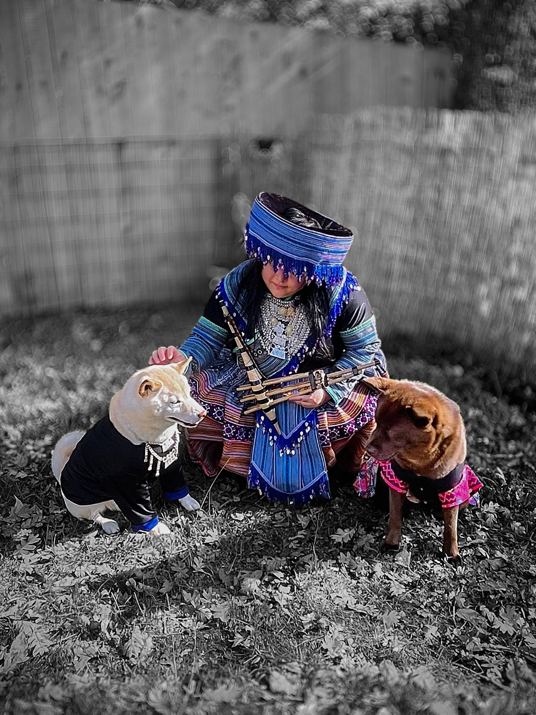 A woman dressed in traditional Hmong attire, wearing a large blue hat with beaded embellishments, is surrounded by two dogs on a leaf-covered ground. The woman is kneeling and interacting with the dogs.