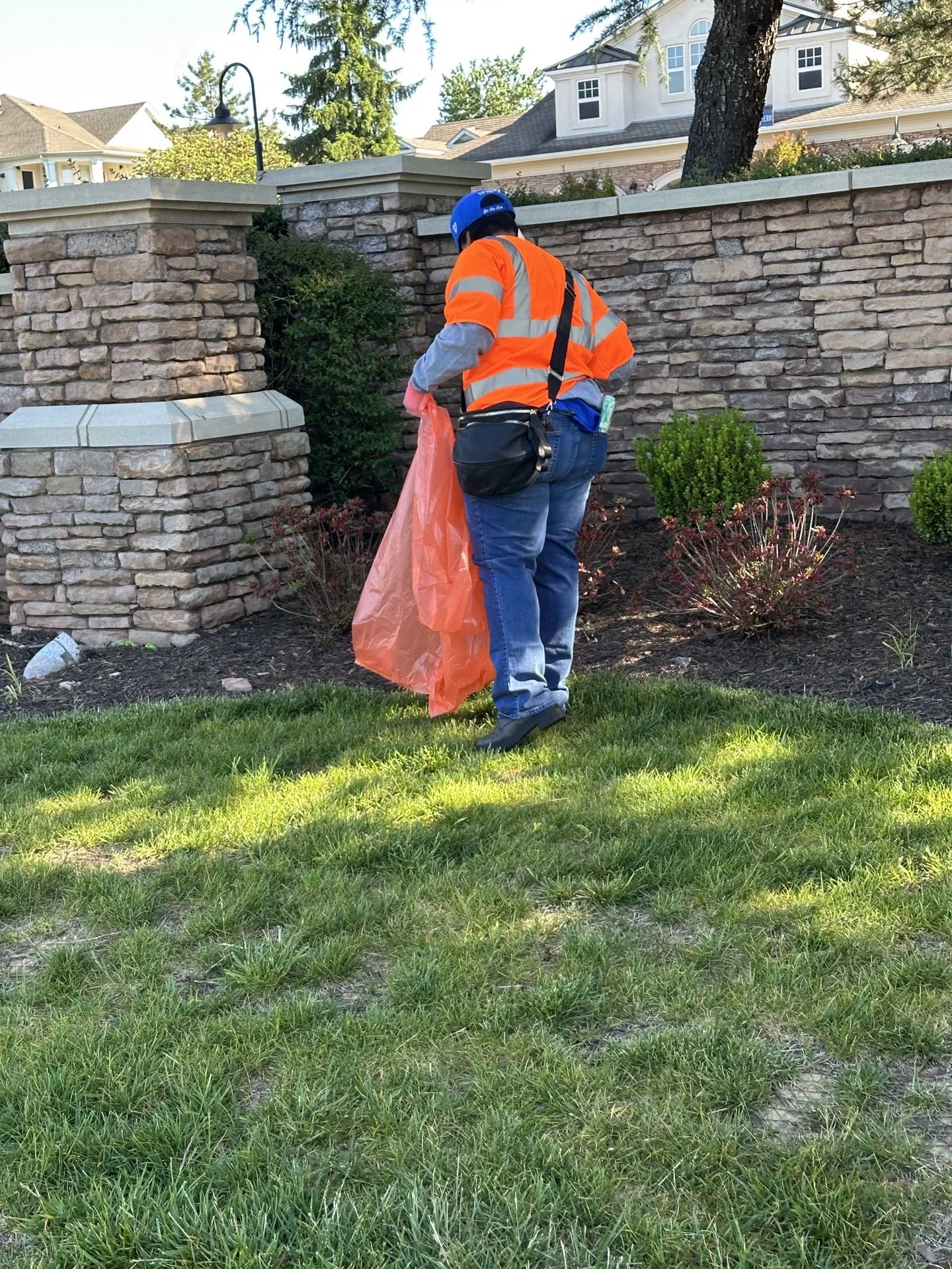 A person wearing a blue helmet, orange safety vest, and jeans is seen picking up trash with a pink plastic bag in a landscaped yard with a stone wall and green bushes.