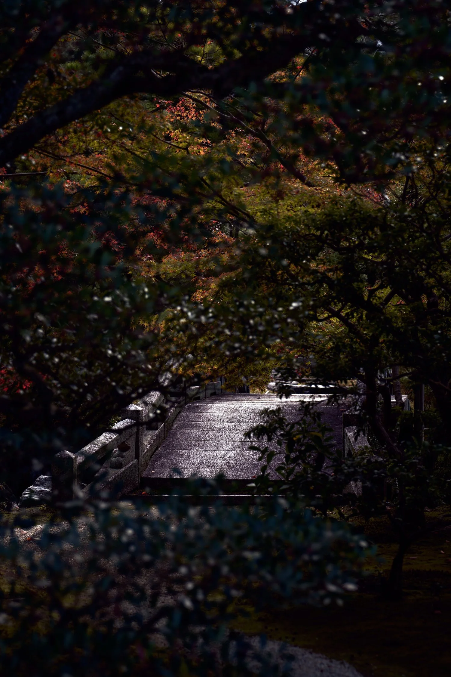 2301115-KYOTO-Austin14187.jpg