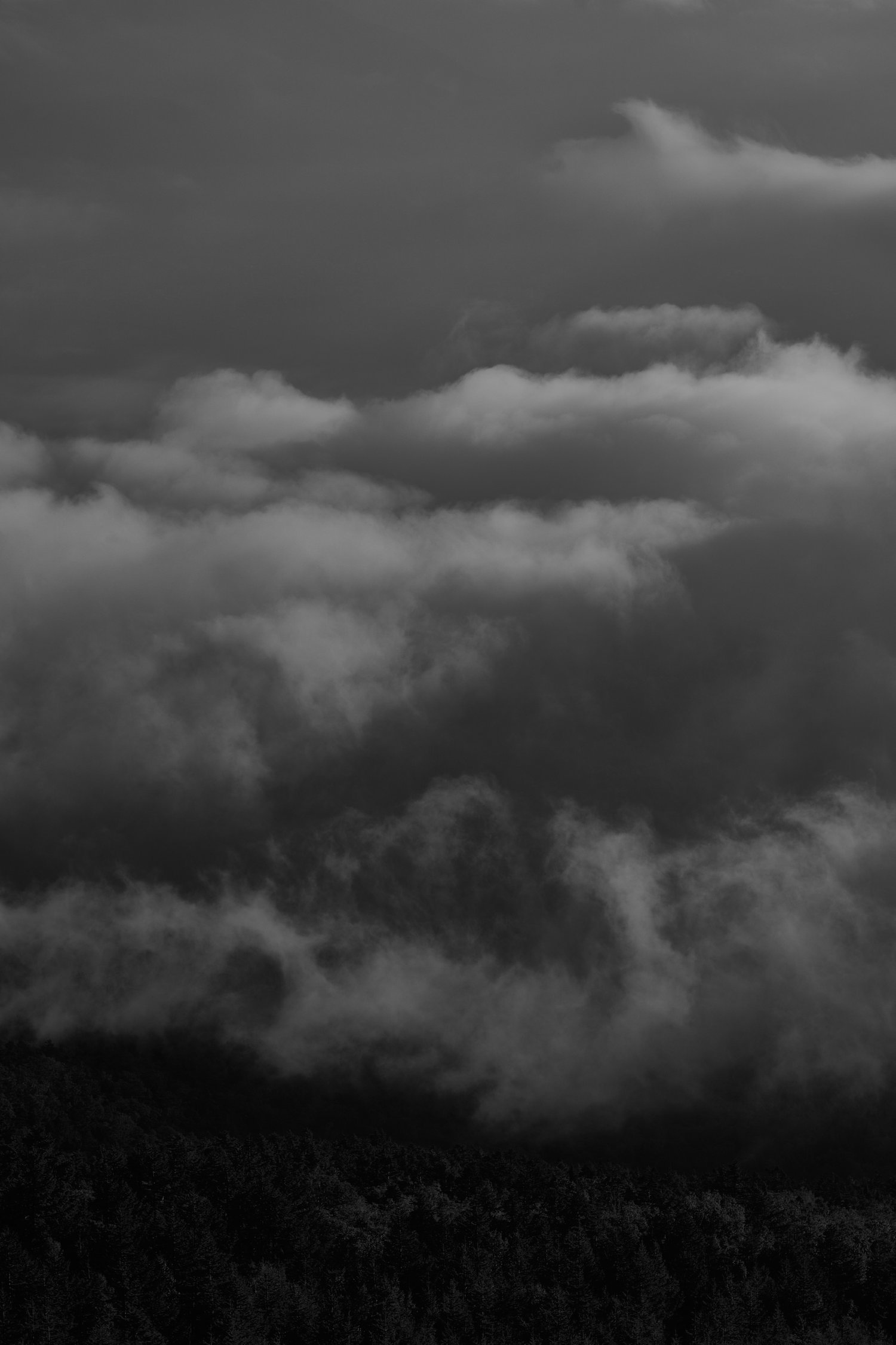 230907-Fuji2023-Austin10514.jpg