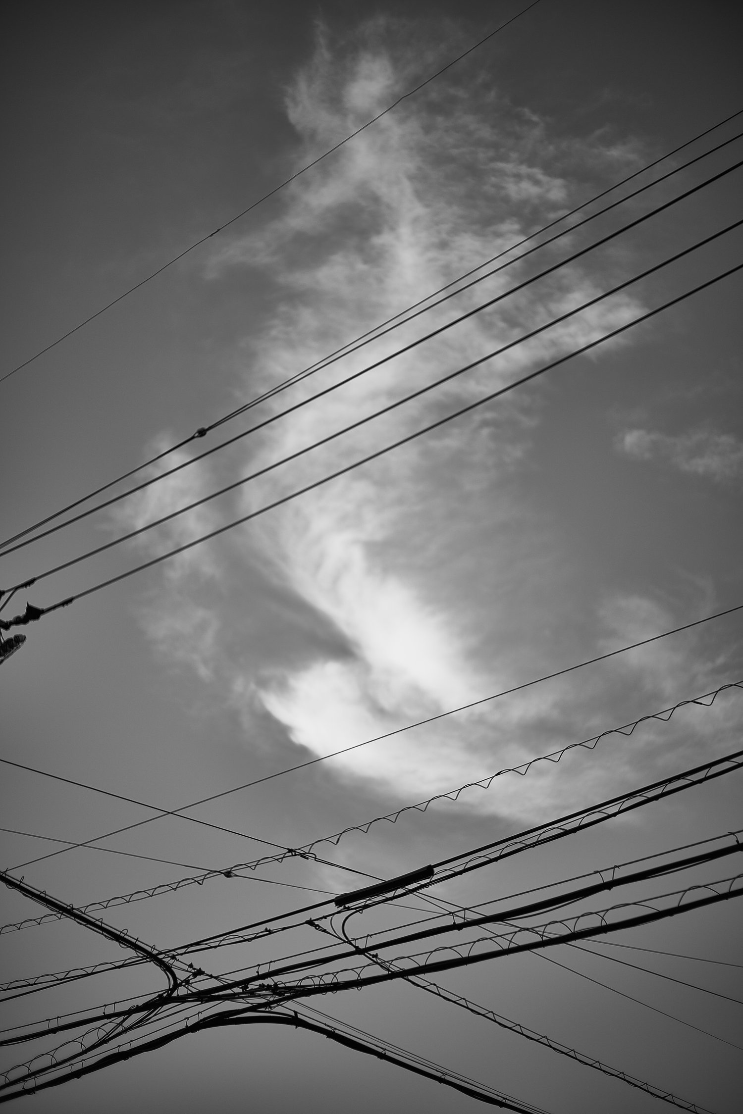 230731-B&W-Austin10026.jpg
