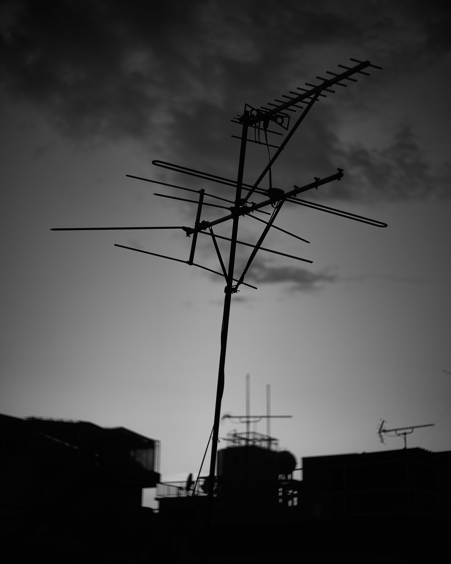 230731-B&W-Austin10029.jpg