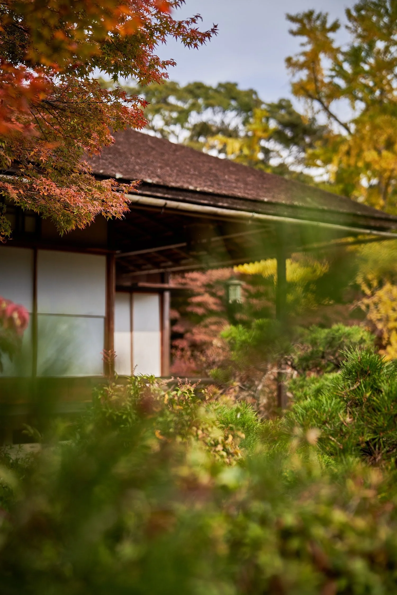 21-11-15-kyoto-+362.jpeg