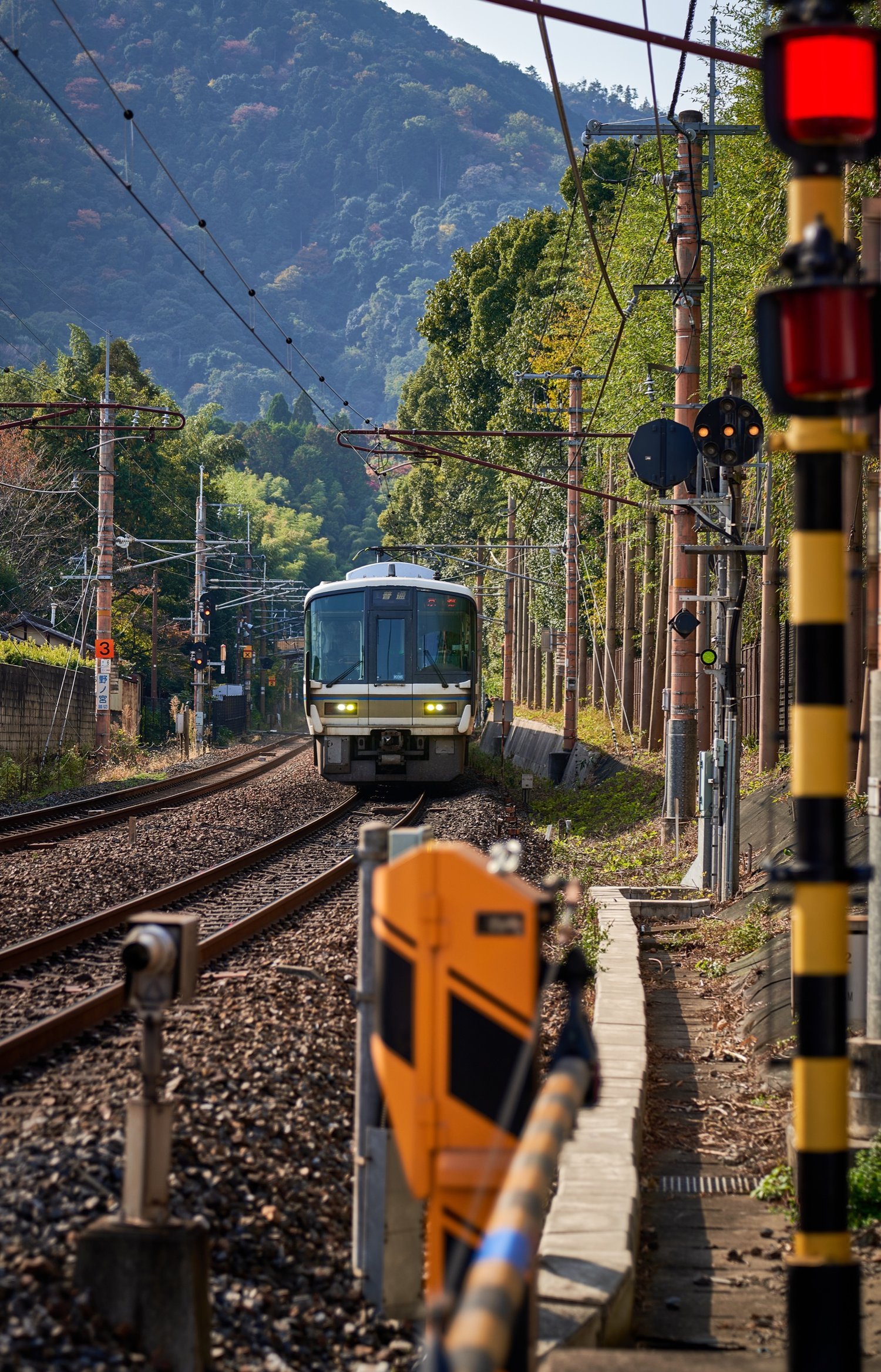 21-11-15-kyoto-+486.jpeg