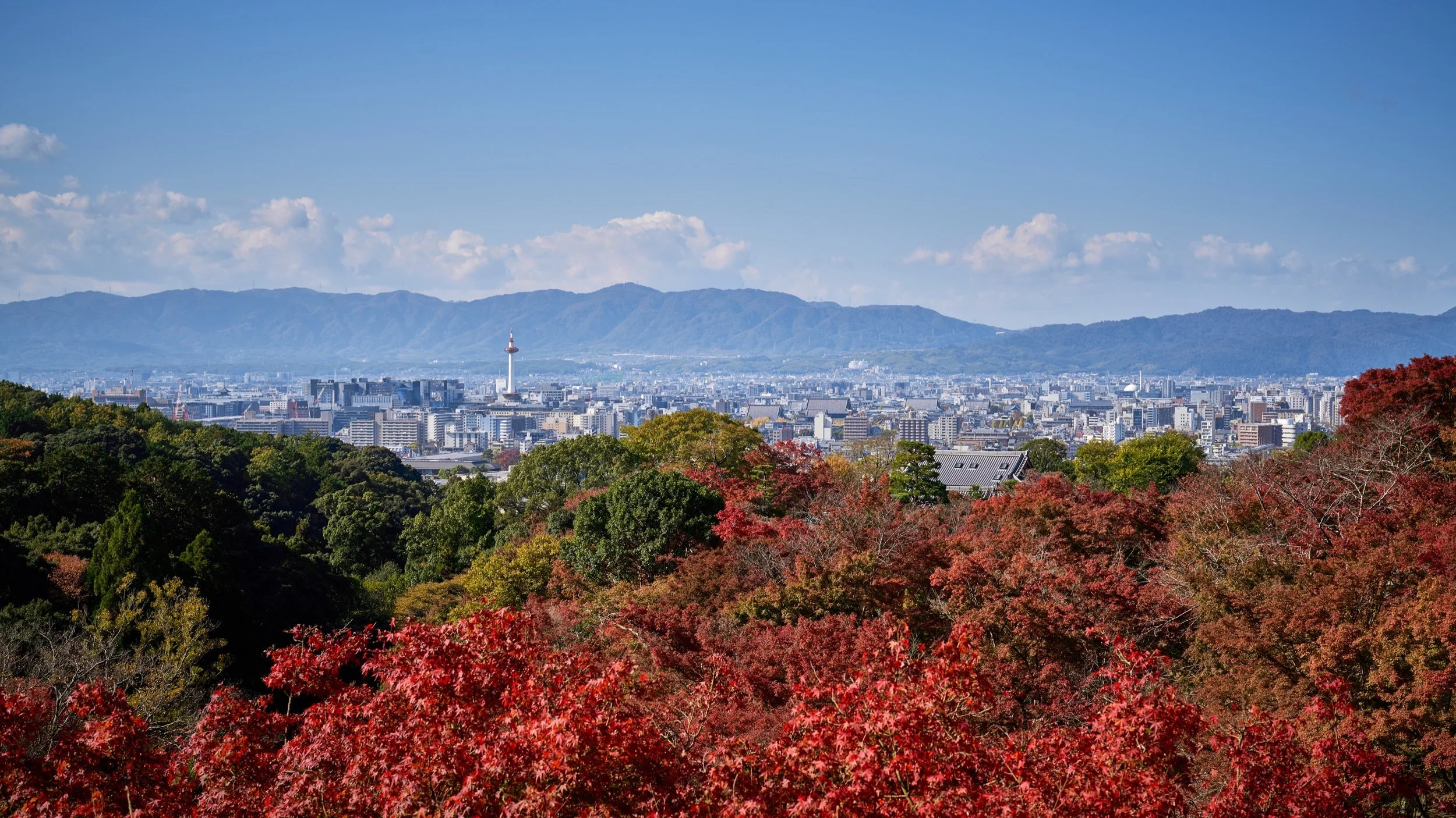 21-11-16-kyoto-+695.jpeg