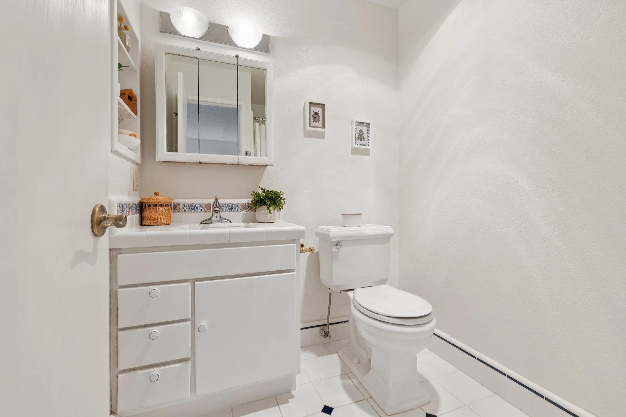 Small bathroom with white walls, a toilet, a white cabinet with drawers, a mirror above the sink, and framed pictures of bugs on the wall. There is a small potted plant on the sink and a wicker basket.