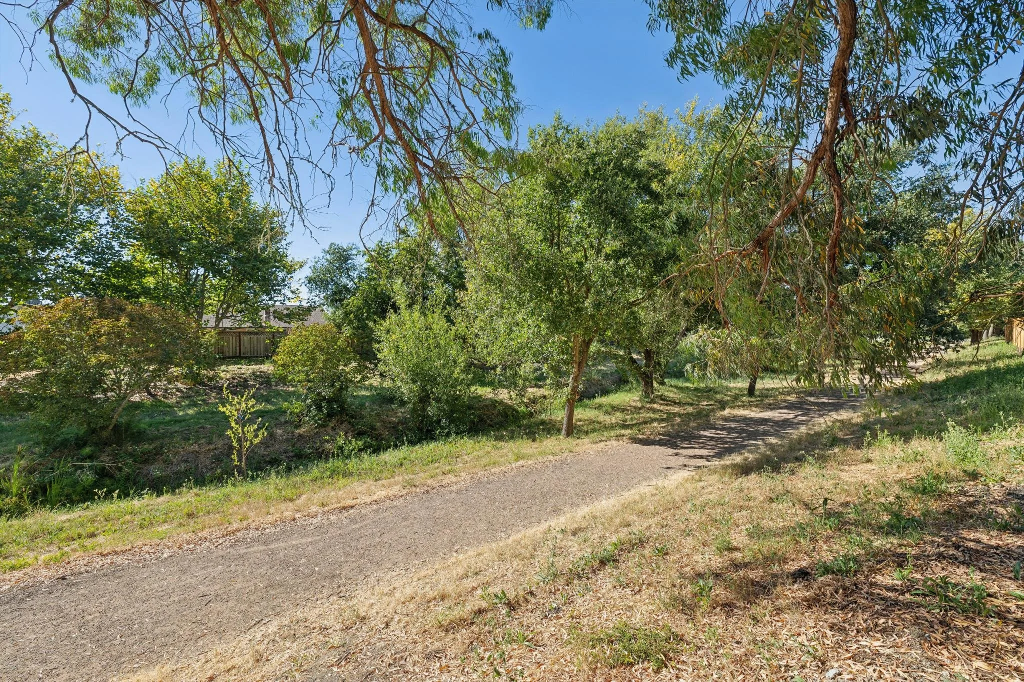 A dirt path winds through a park with green trees and bushes under a clear blue sky.