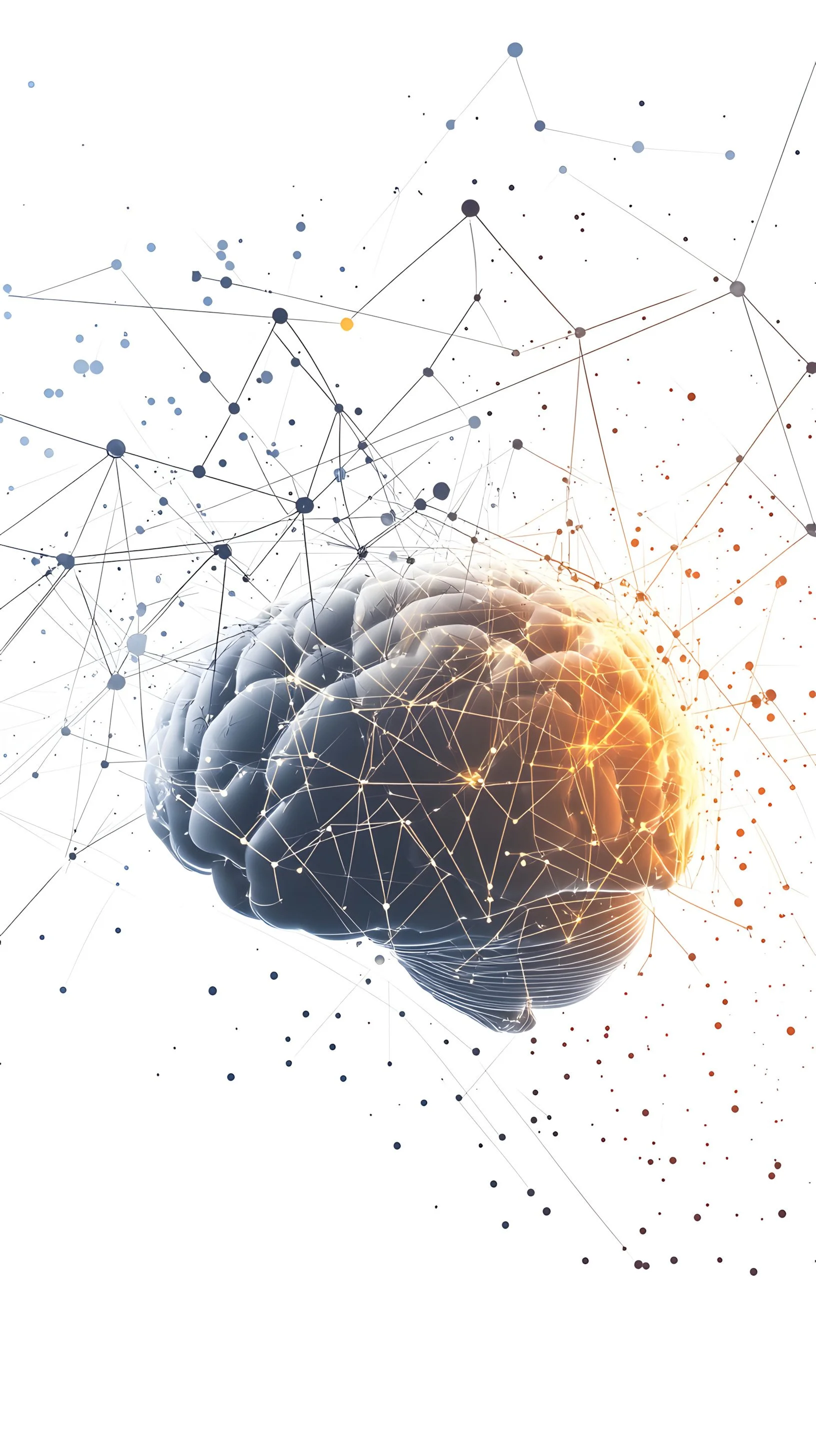 LIFE Brain Health Study - neural activity