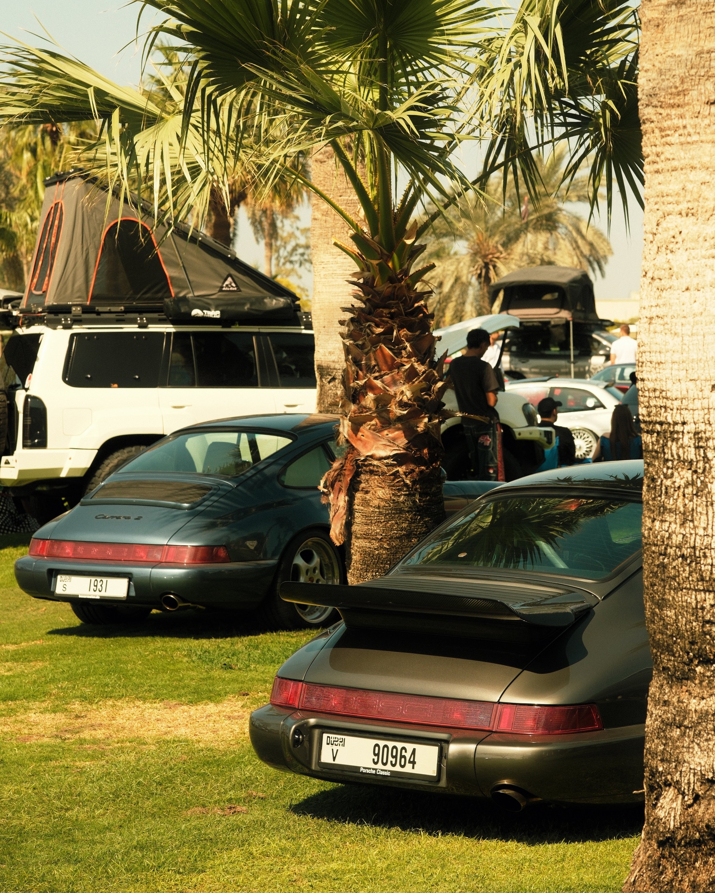 DSCF2915.JPG