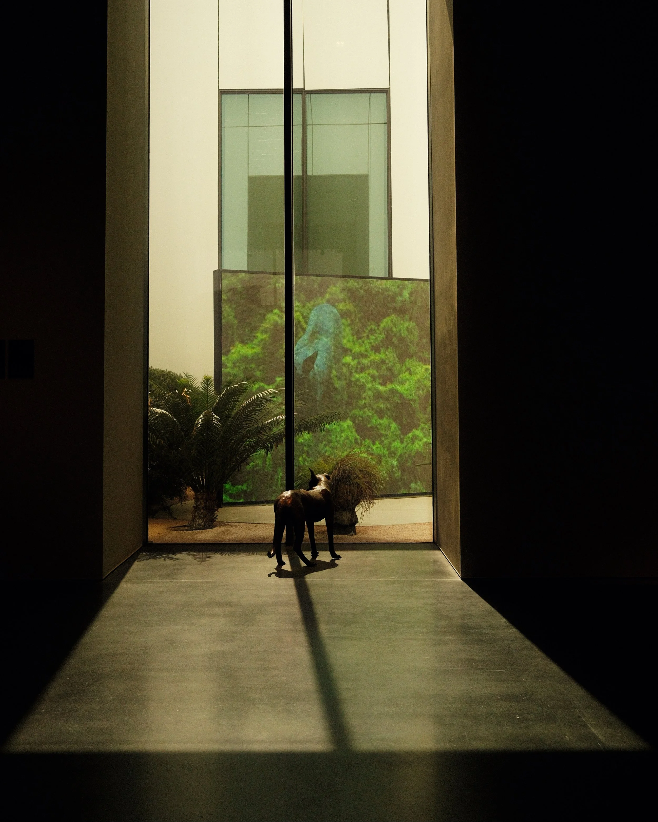 DSCF2648.JPG
