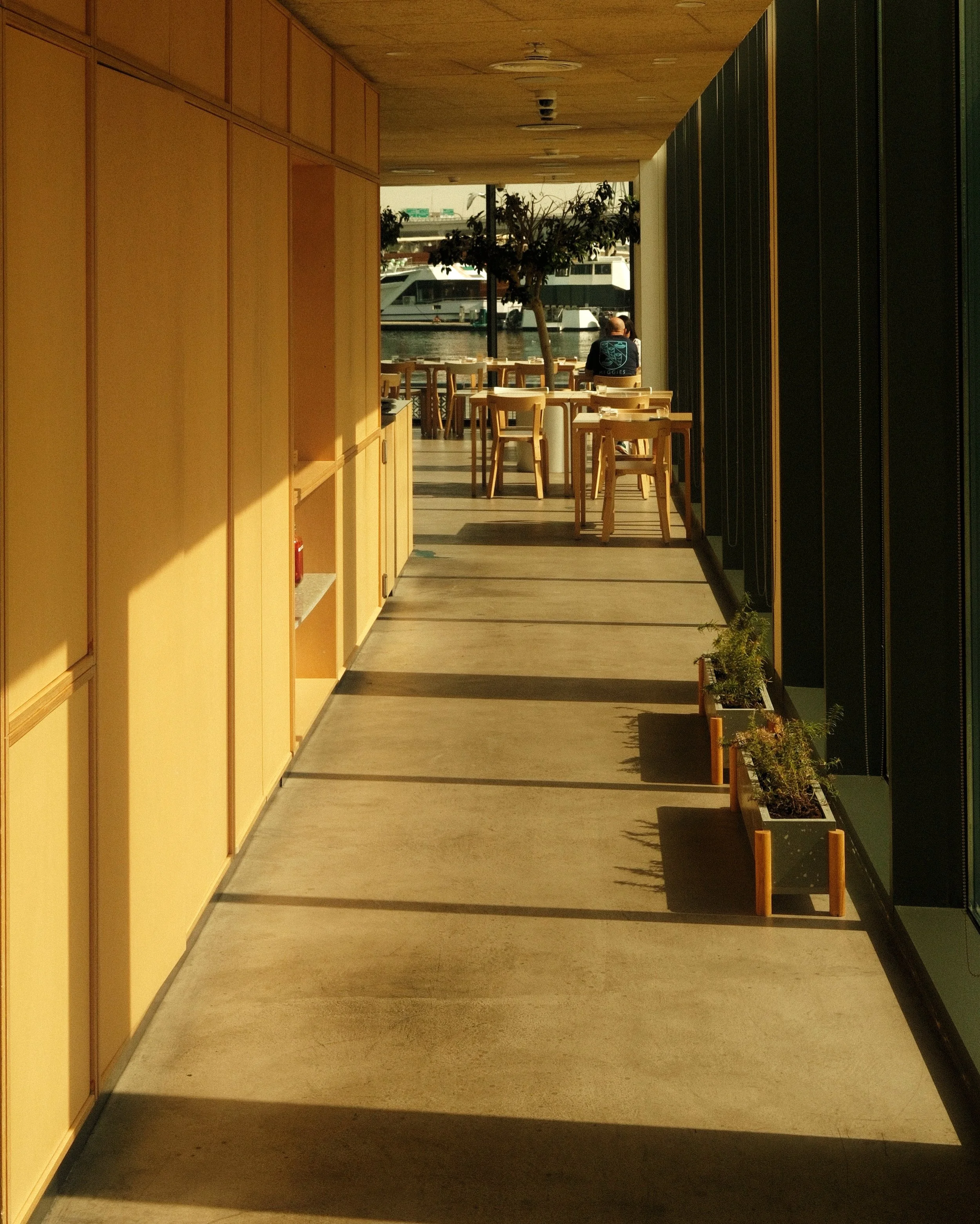 DSCF2653.JPG